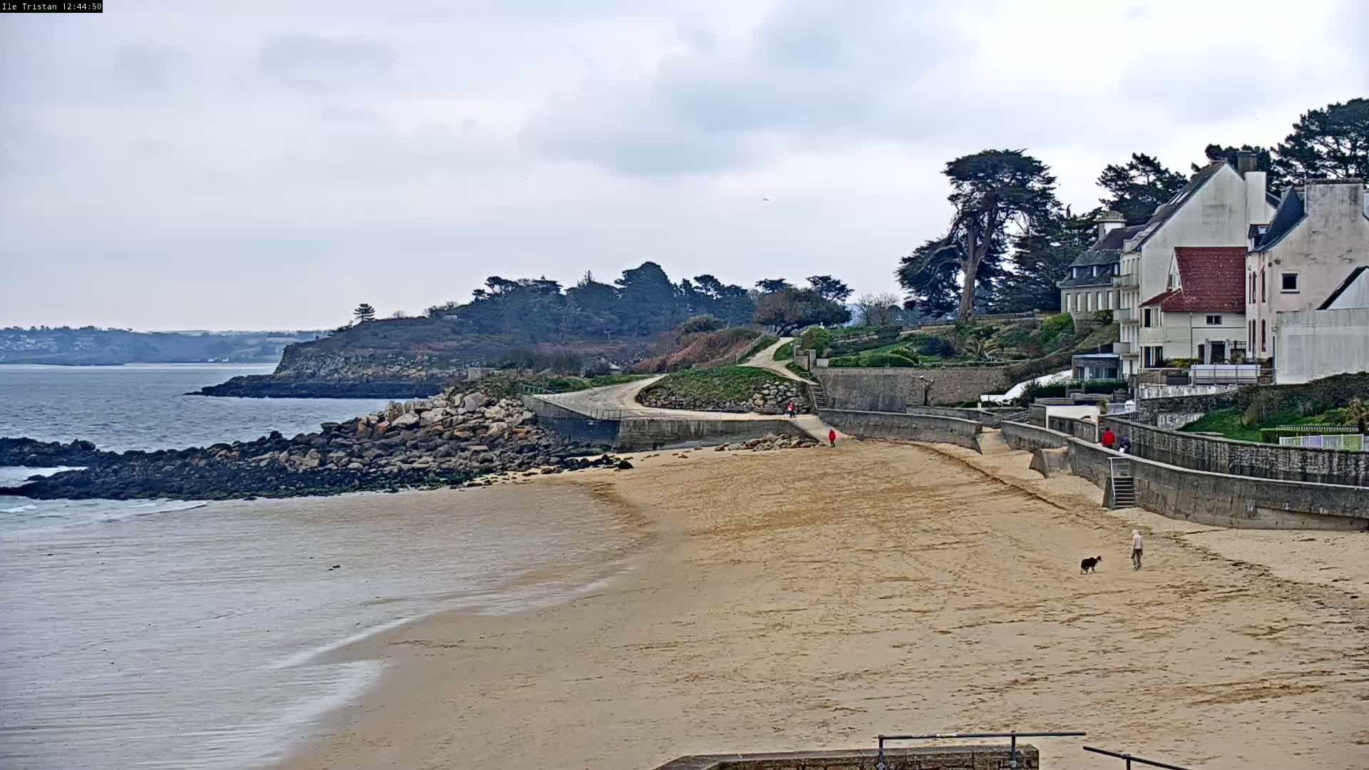 A sandy beach stretches from a rocky shoreline towards a row of houses on a cloudy day, with a few people and a dog walking along the beach.