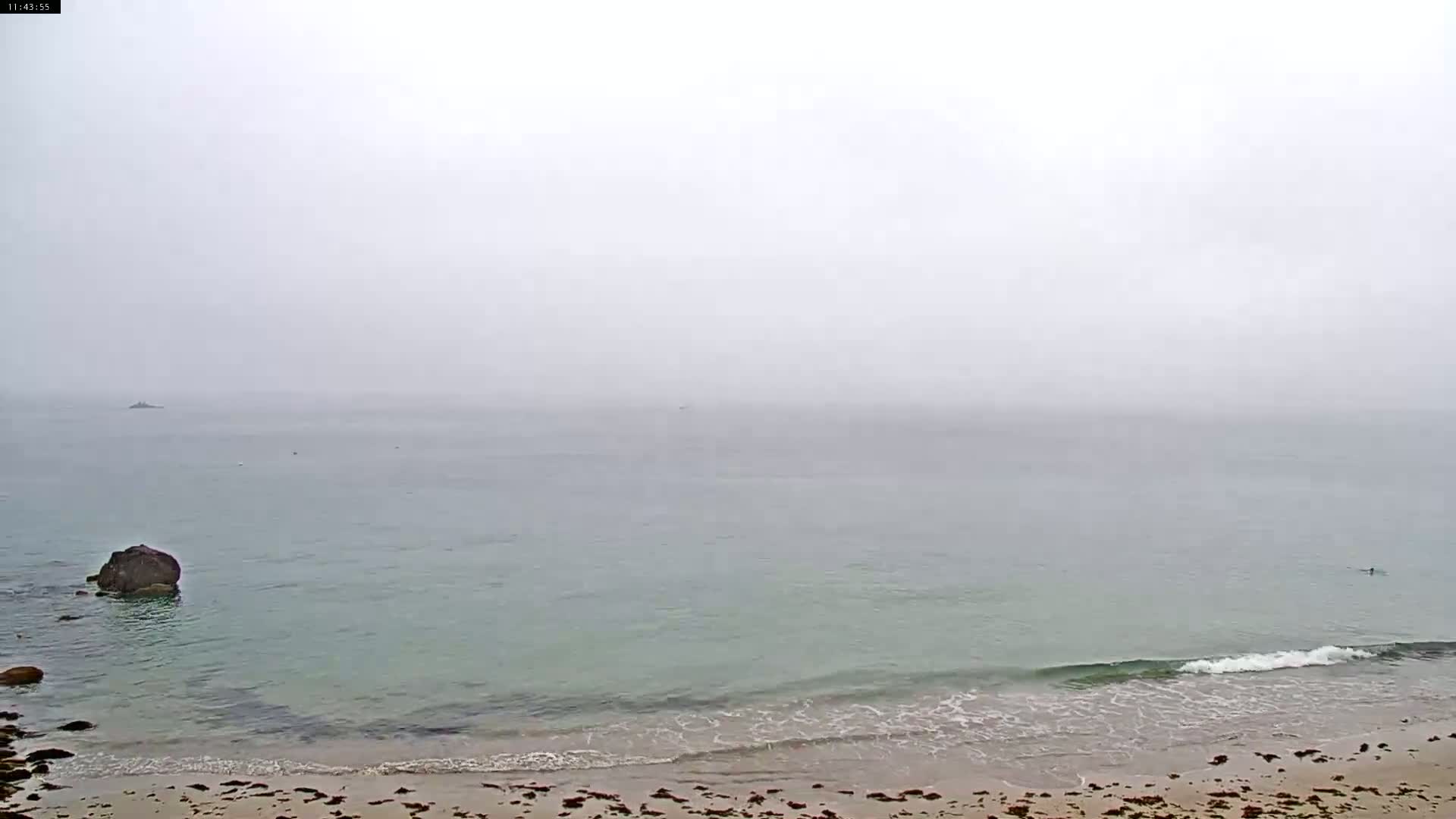 A foggy coastal scene shows a calm sea lapping a sandy beach with a single person in the water and a large rock near the shore.