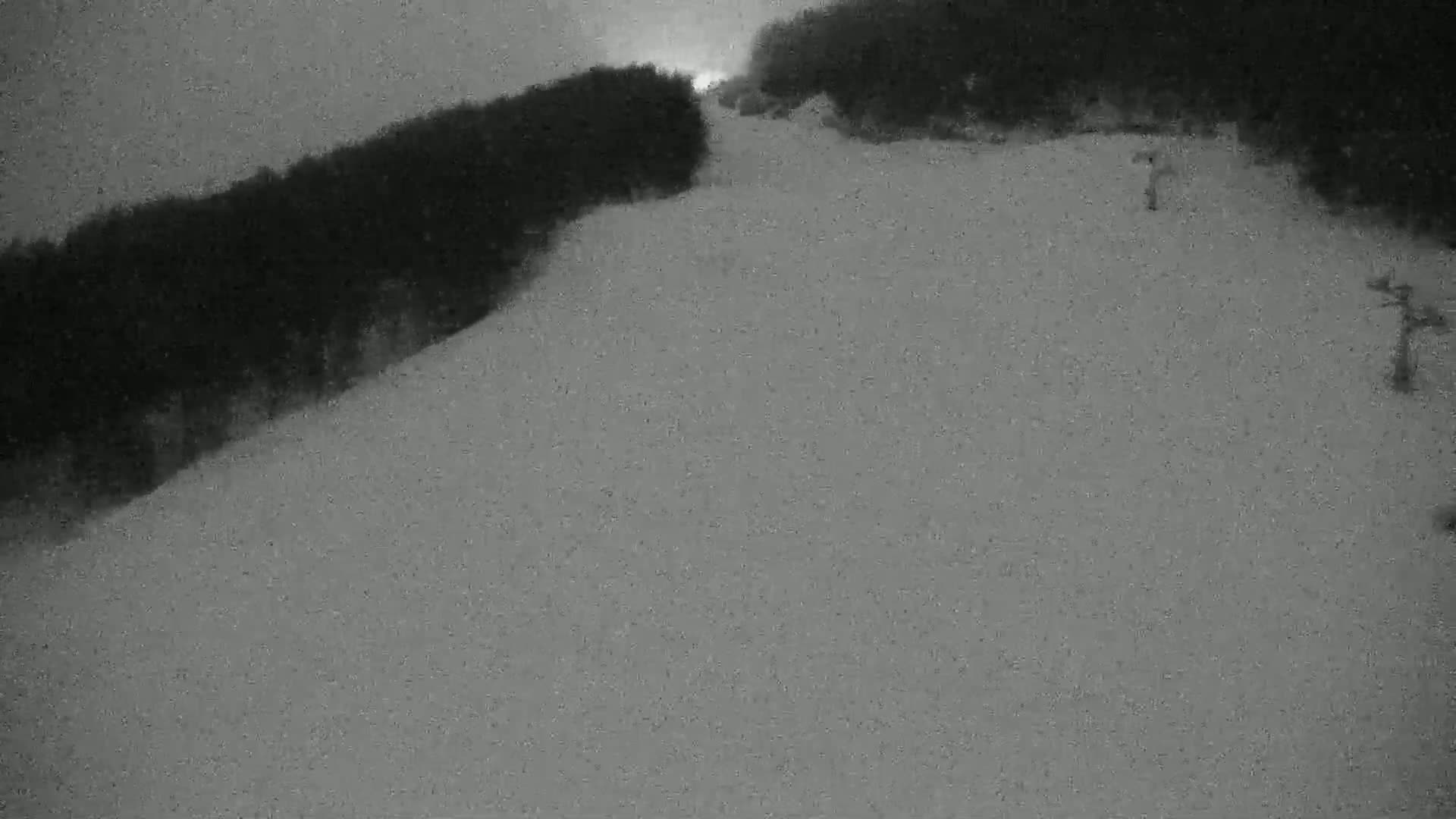 A snow-covered ski slope at night, bordered by dark trees.