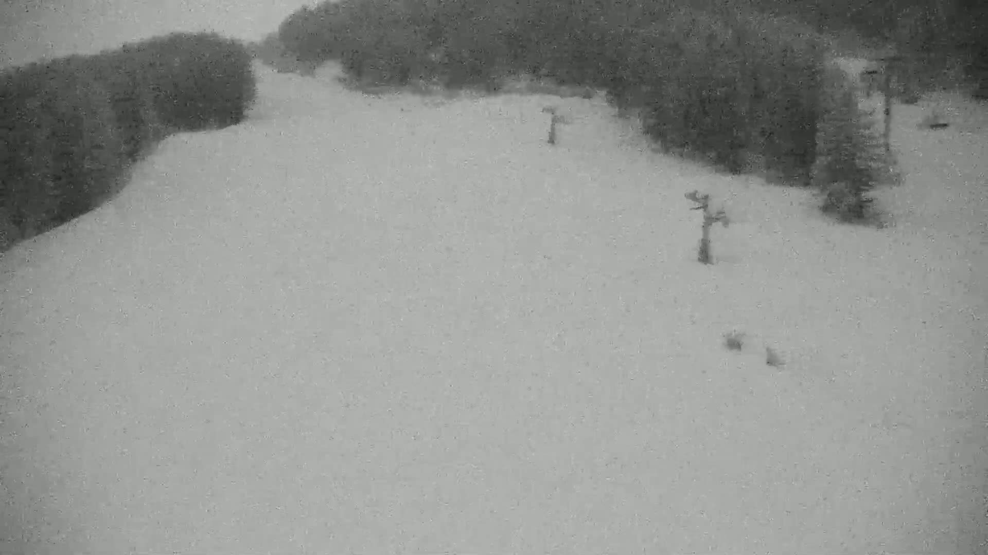 A snow-covered ski slope is visible, with a few small figures in the distance and dark trees lining the upper edges under an overcast sky.