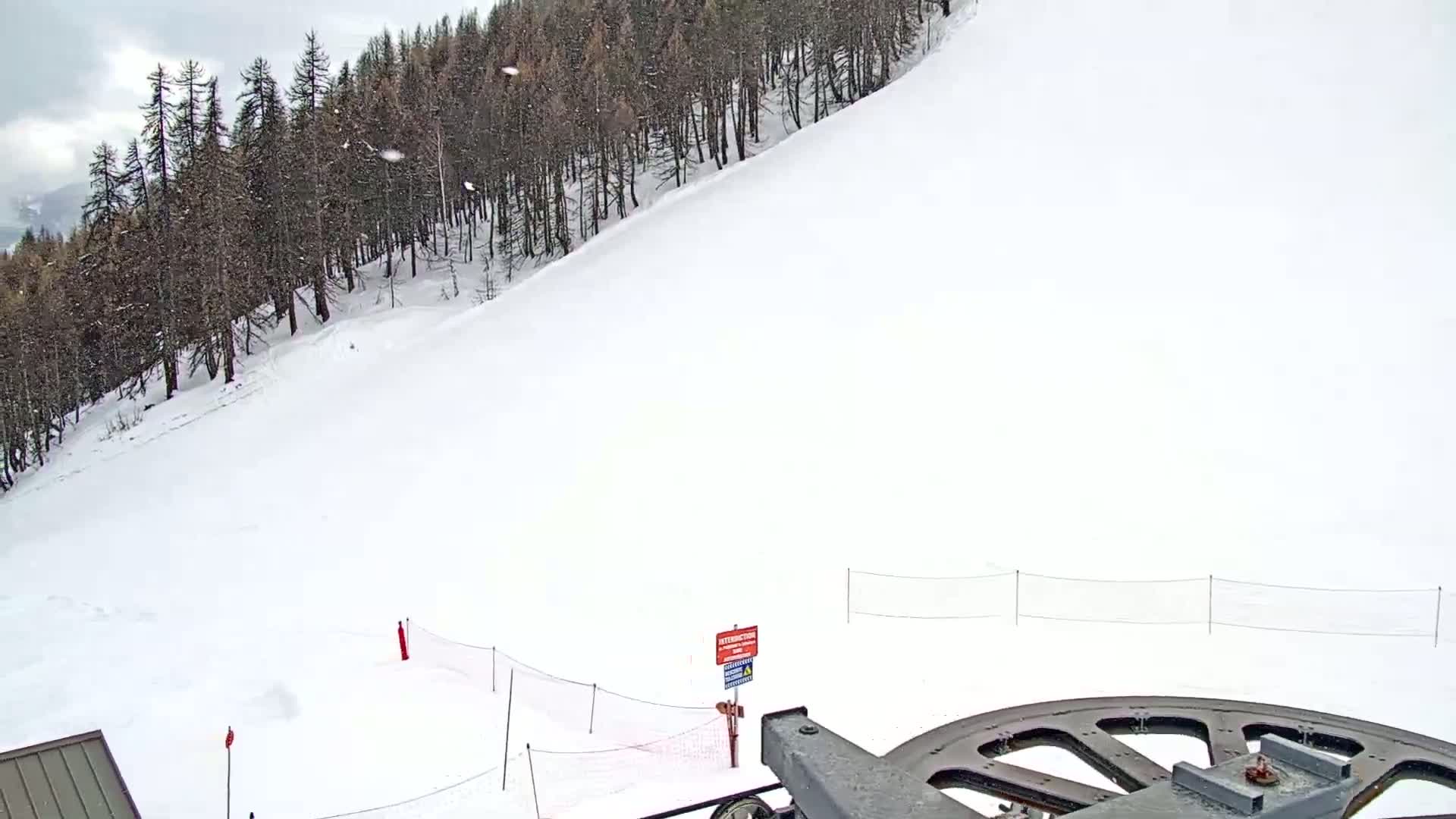 A snow-covered ski slope with a line of dark evergreen trees in the background under a lightly snowing, overcast sky.
