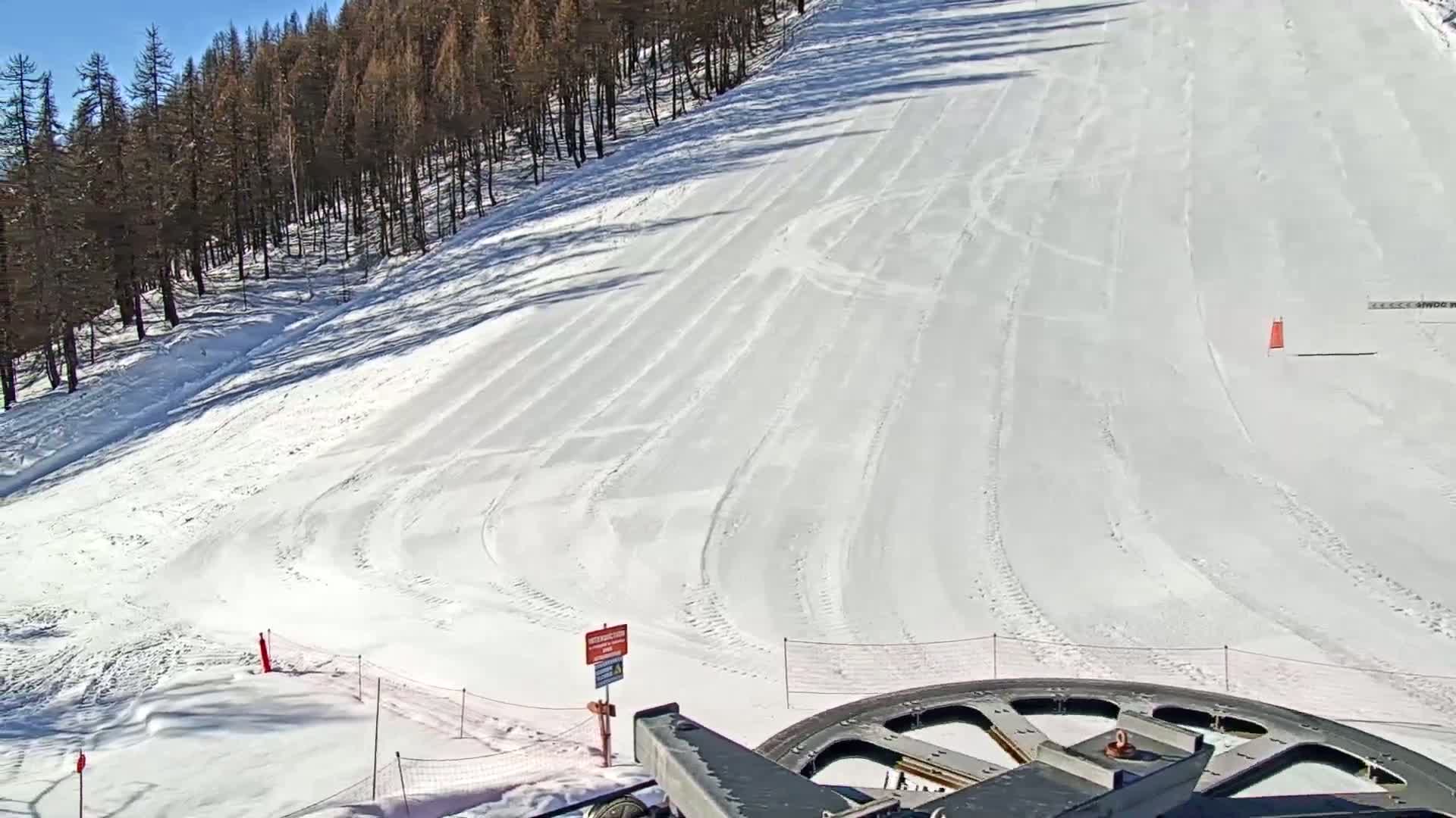 A snow-covered ski slope descends from a sunlit pine forest under a clear blue sky.