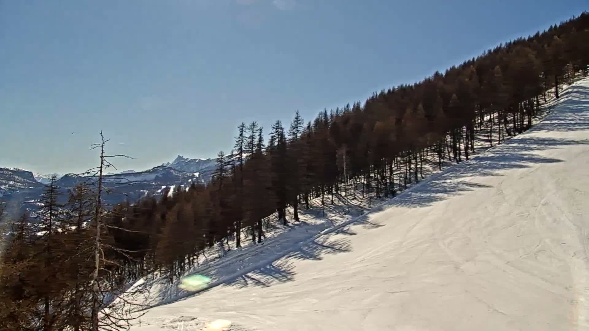 A snowy ski slope descends from a line of dark evergreen trees on a sunny day, with mountains visible in the distance.
