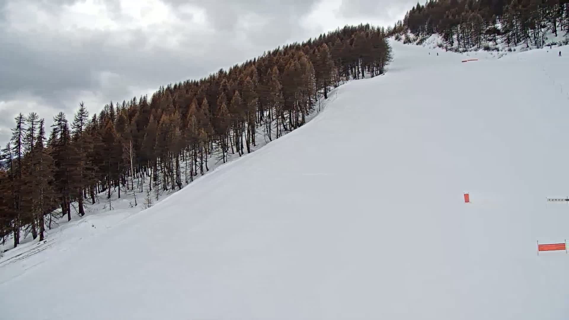 A snow-covered ski slope descends from a line of dark-brown pine trees under a cloudy sky.