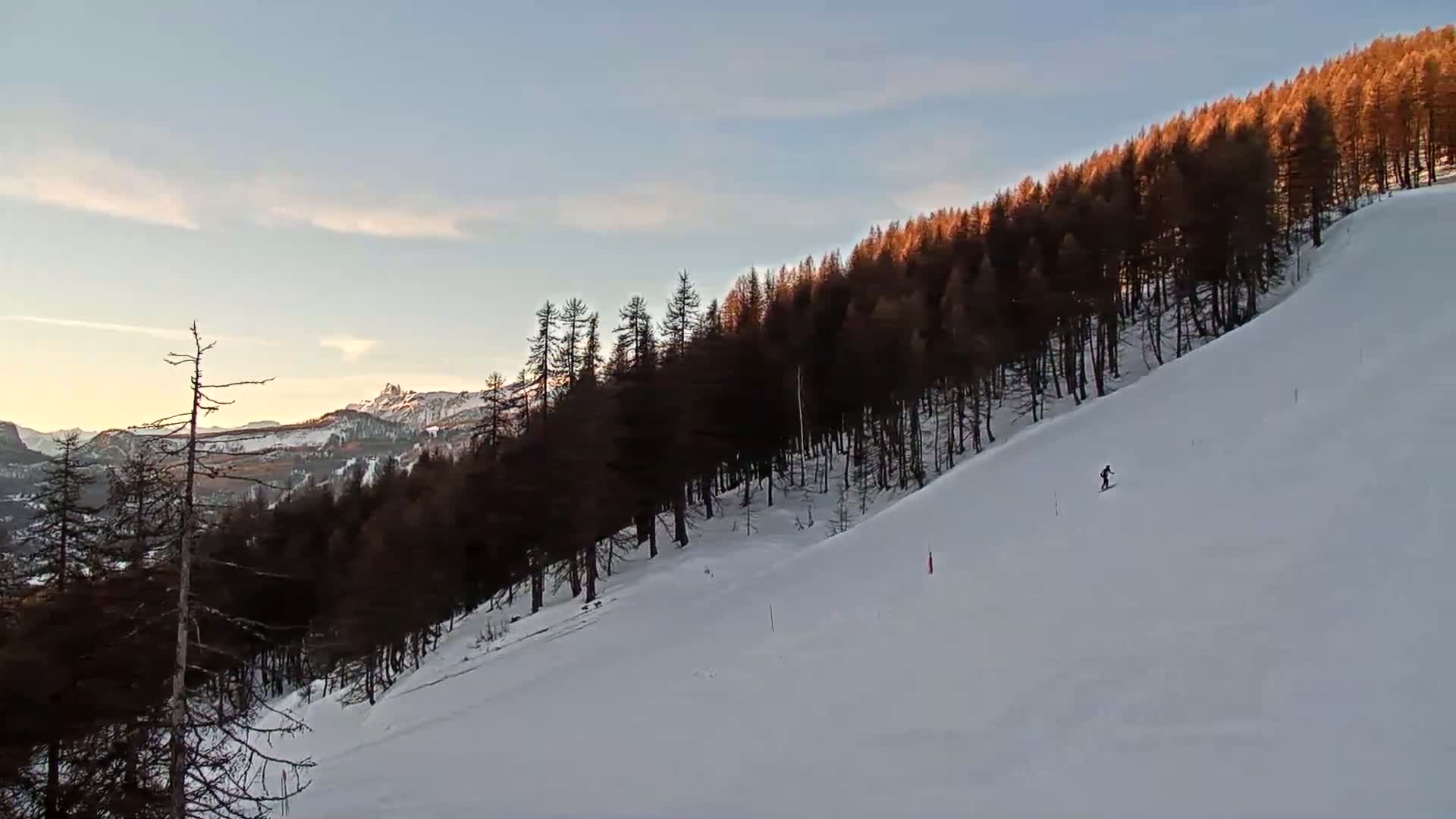 A skier descends a snow-covered slope beside a dark forest at sunset under a clear sky.