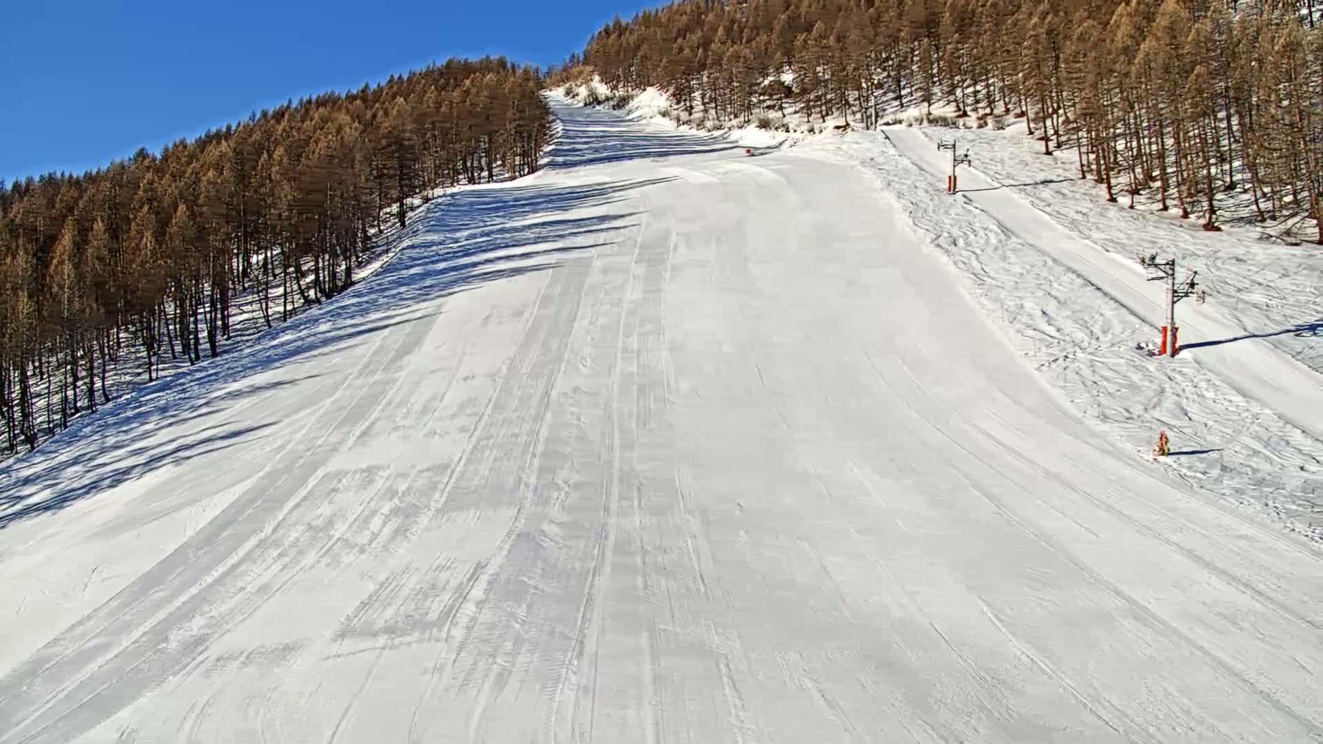 A snow-covered ski slope descends from a line of pine trees under a clear blue sky.