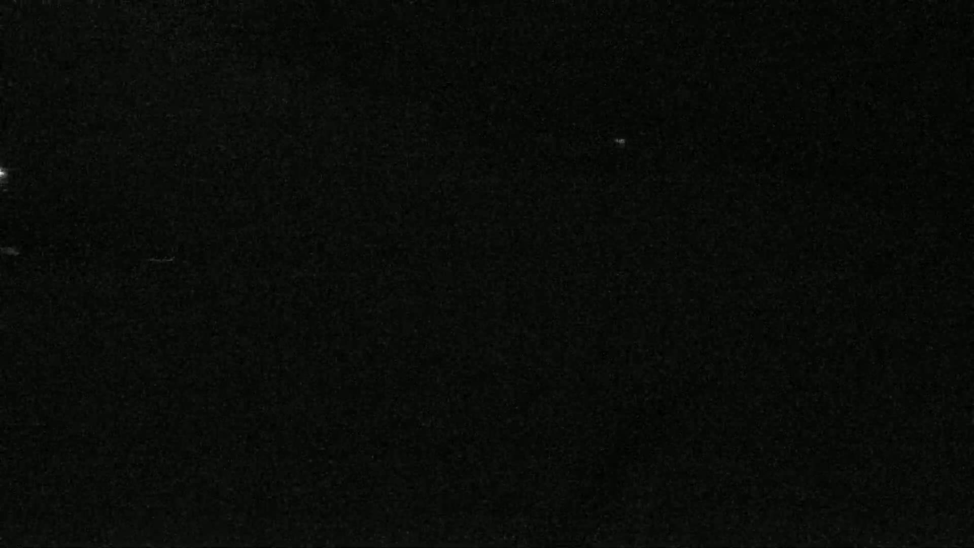 The image shows a mostly black surface with a few tiny specks of white.
