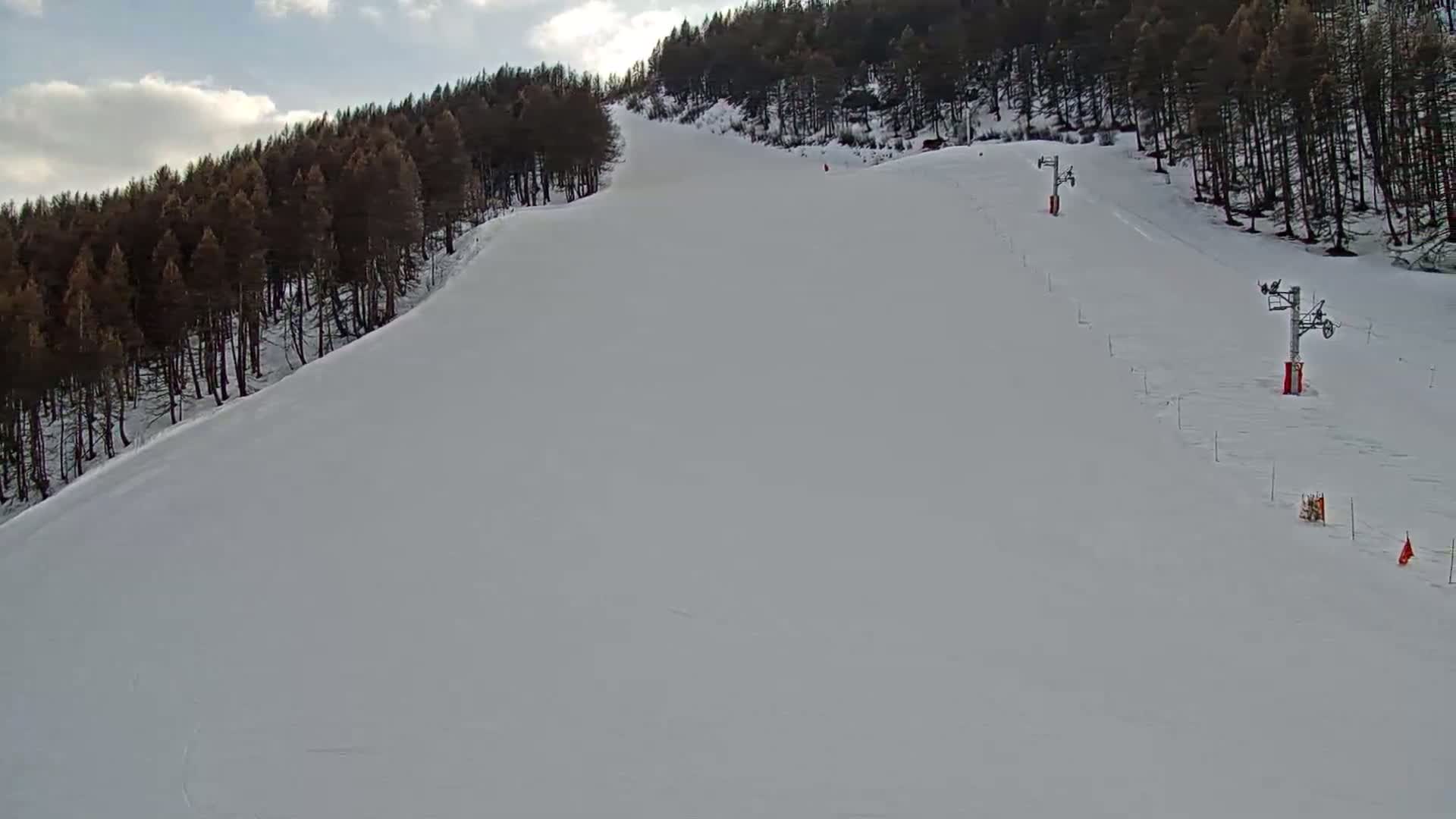 A snow-covered ski slope descends from a dark pine forest under a partly cloudy sky.