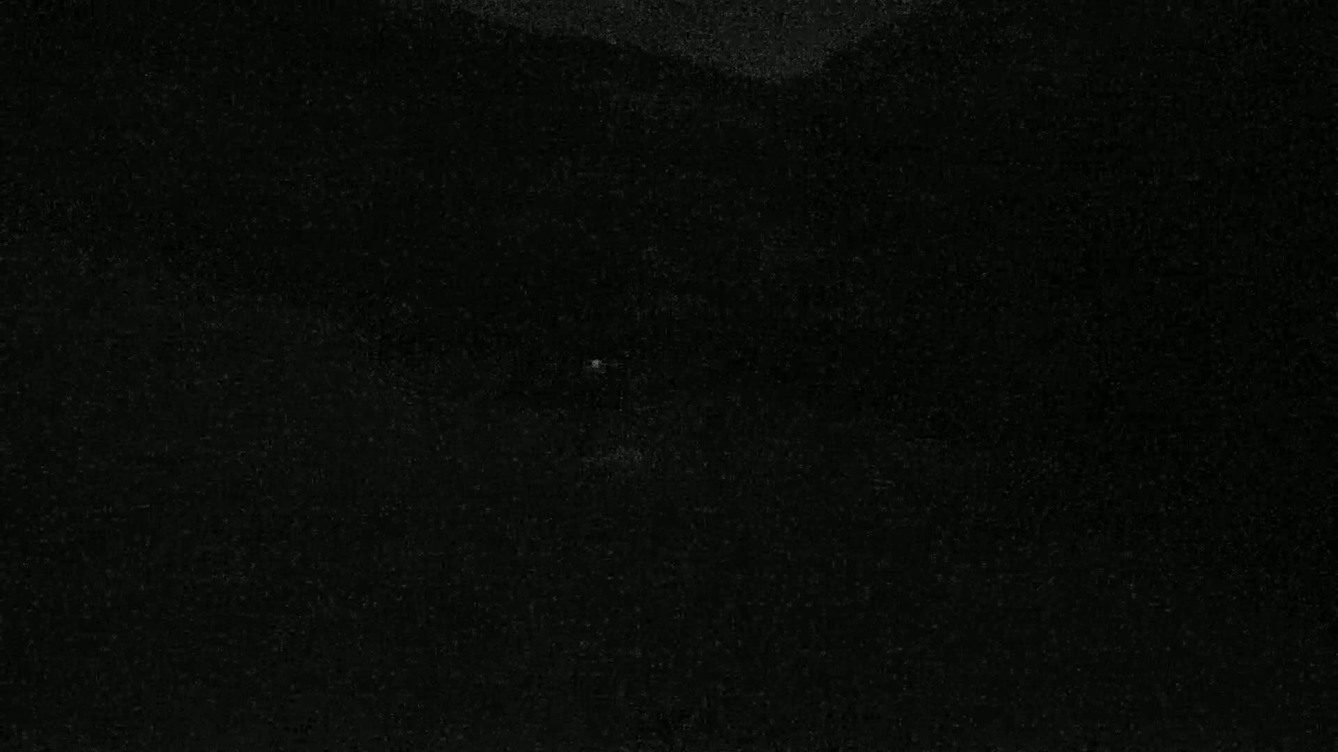 A dark, speckled surface is shown.