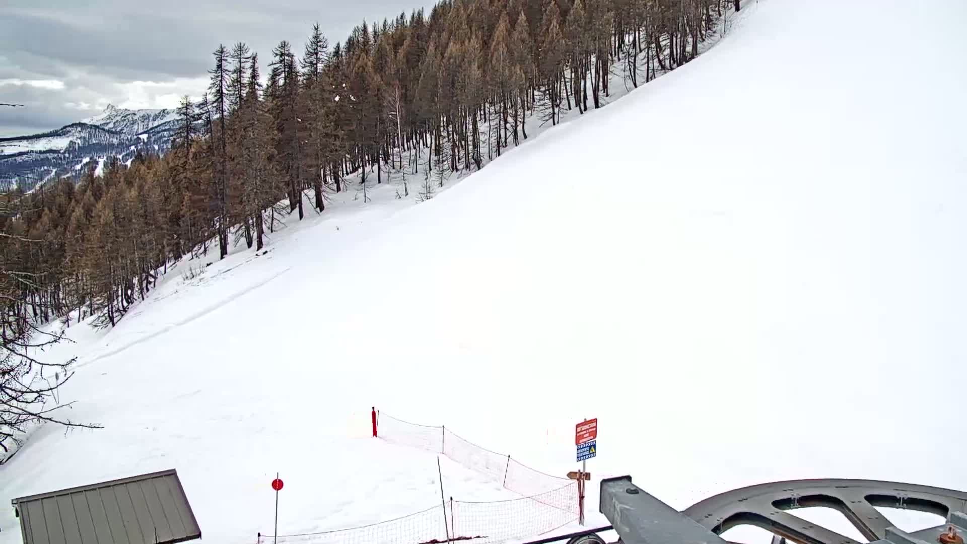 A snowy, overcast mountain slope with a sparse forest of dark trees in the background is viewed from a ski lift.