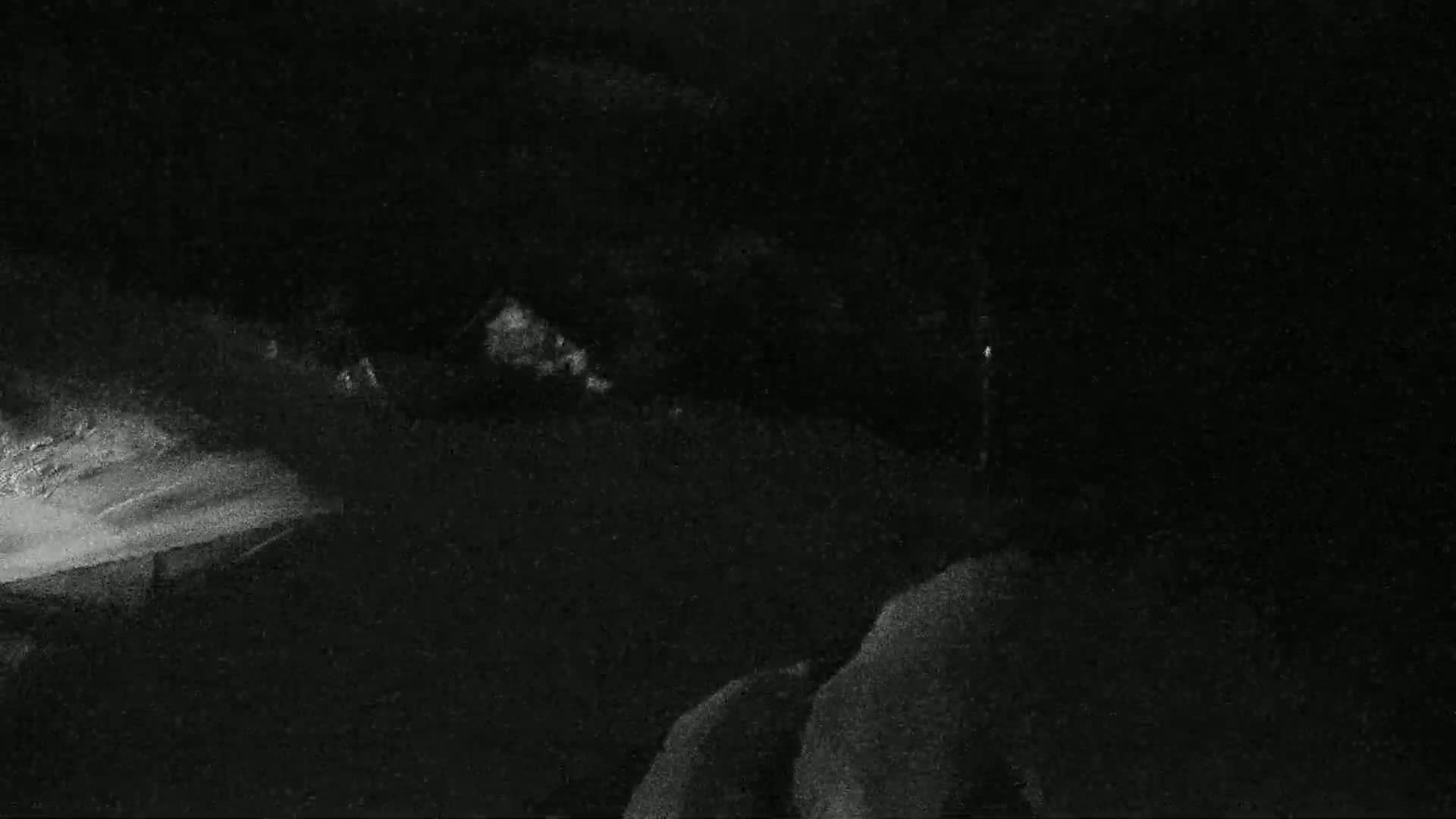 A nighttime, grainy image shows indistinct shapes suggesting vegetation and possibly buildings under a dark sky.