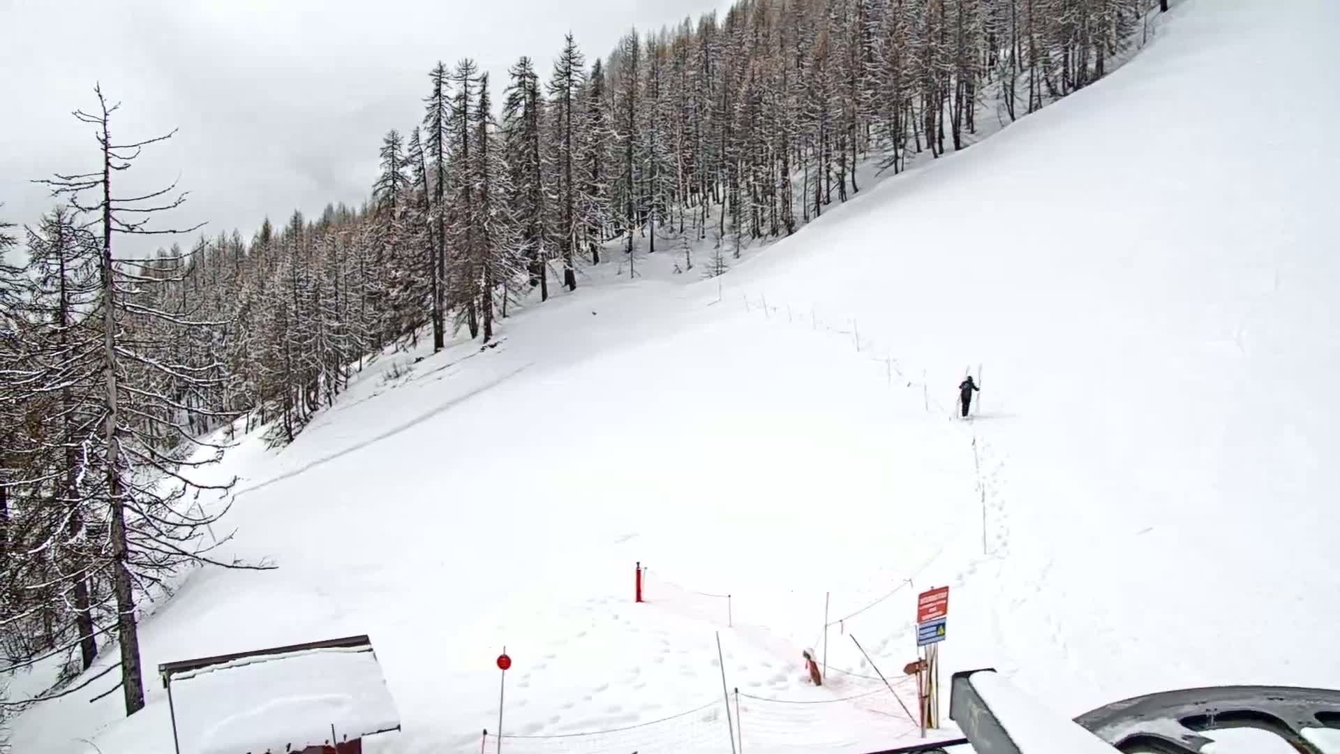 A snow-covered ski slope descends from a snow-dusted pine forest under an overcast sky, with a lone skier visible in the middle distance.