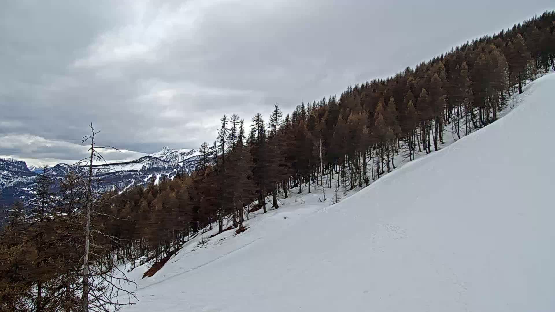 A snow-covered hillside slopes down from a dark evergreen forest under a cloudy sky, with mountains visible in the distance.