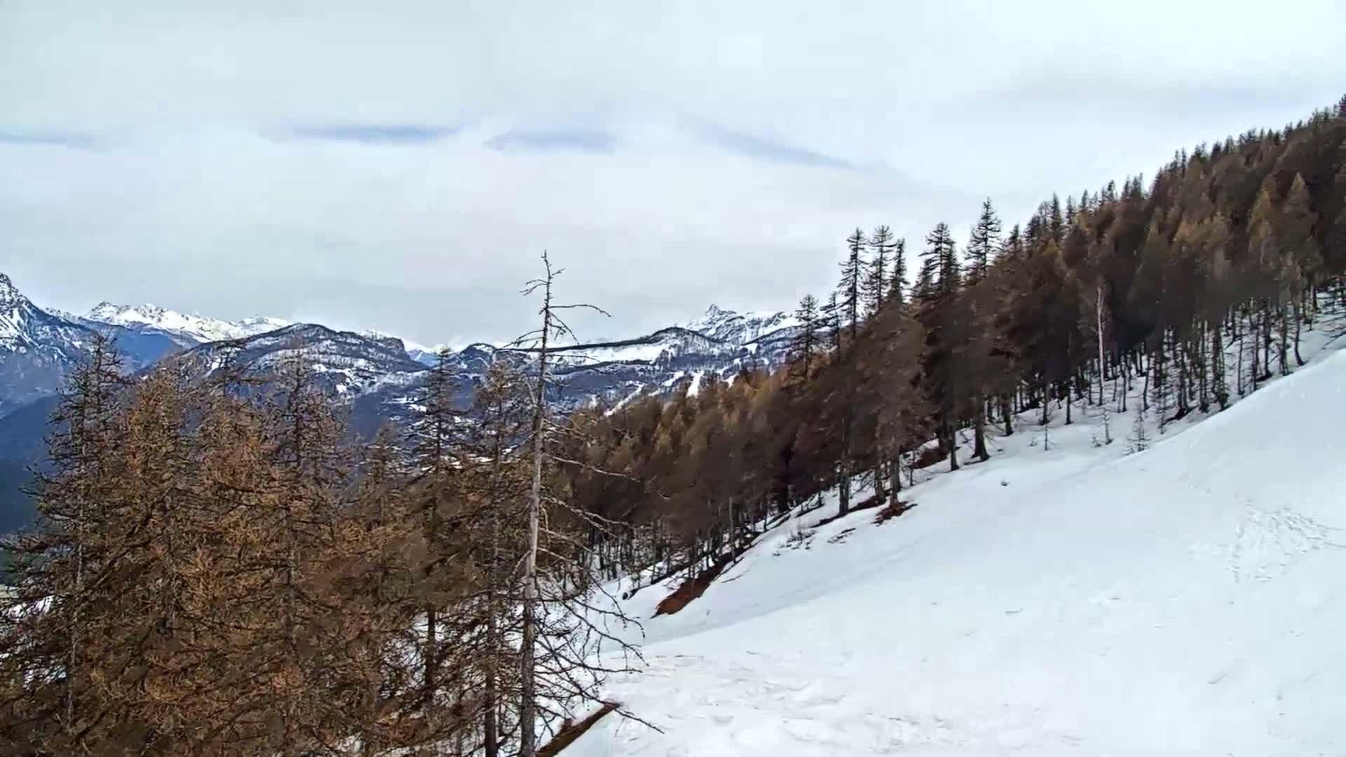 A snow-covered hillside slopes down from a forest of dark brown trees toward a distant, snow-capped mountain range under a mostly cloudy sky.