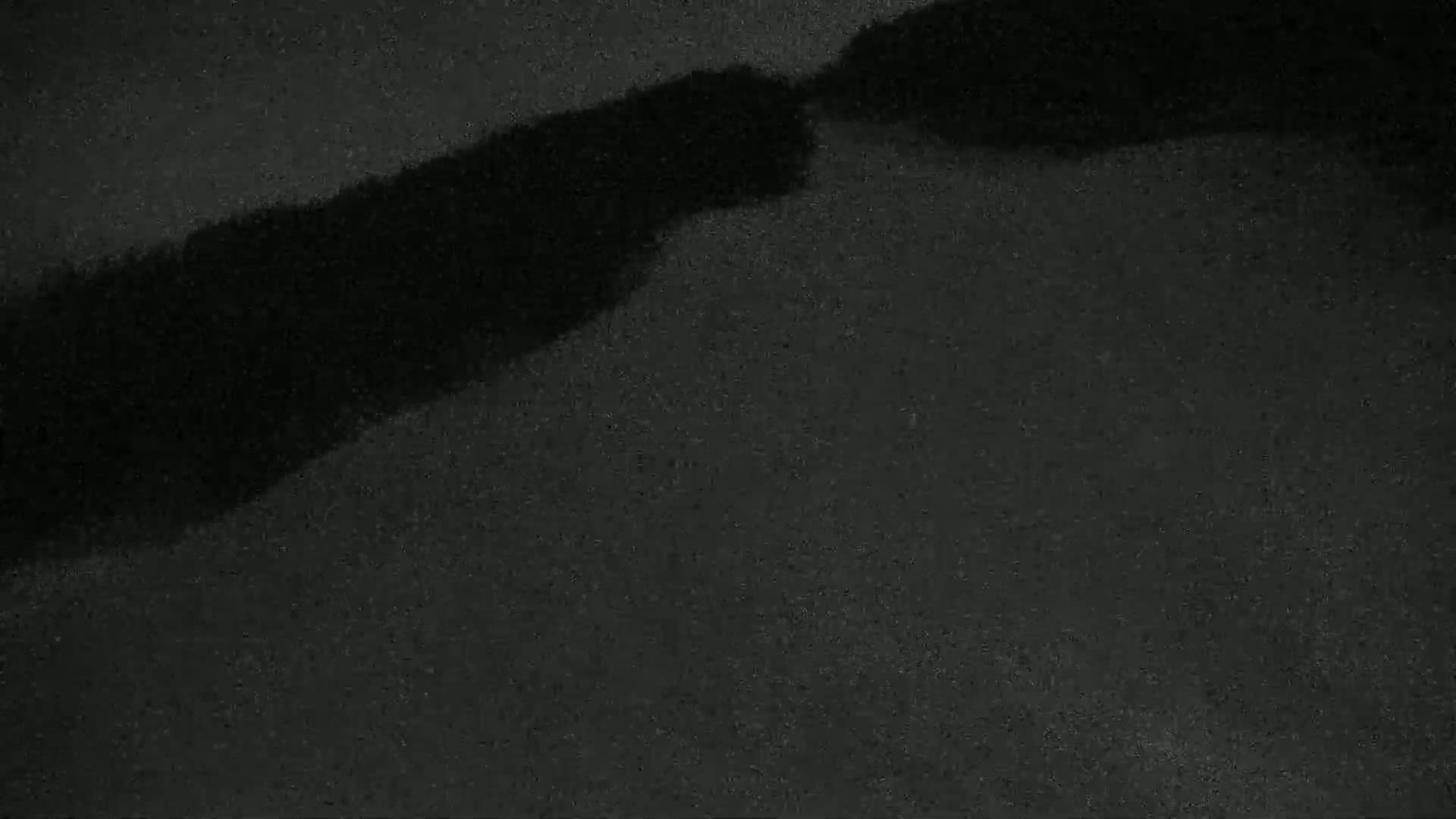 A dark, blurry image shows a large, indistinct dark shadow angled across a dark gray surface.