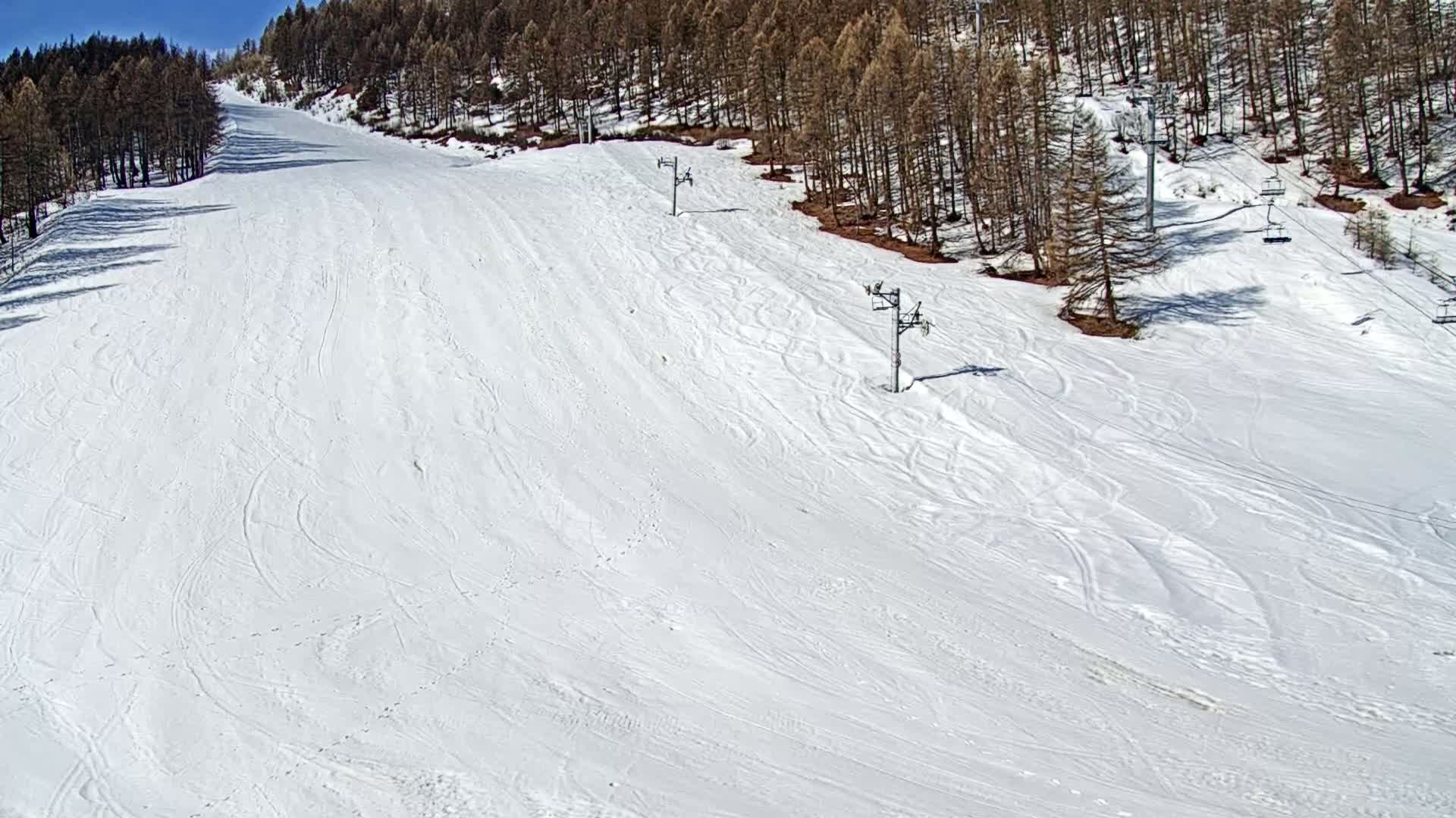 A snow-covered ski slope with several ski lifts is visible on a sunny day, bordered by a line of pine trees.