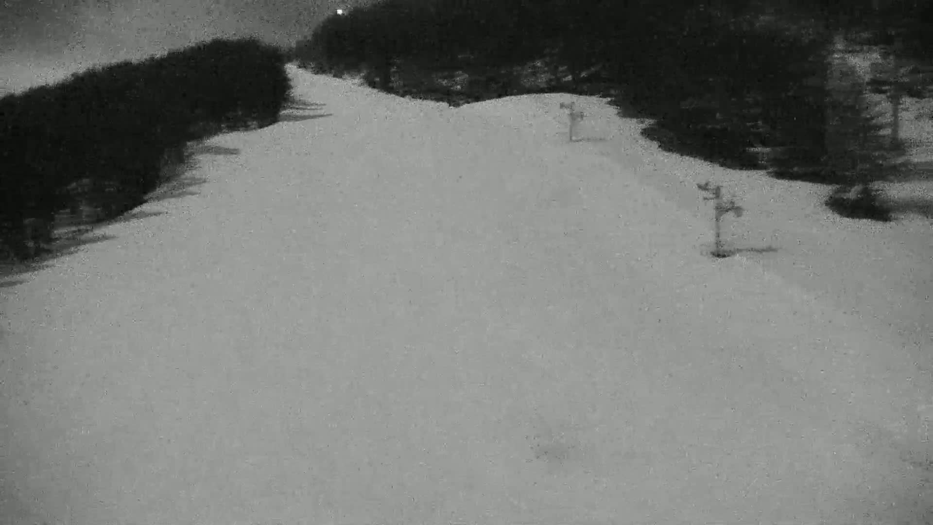 A snow-covered ski slope at night is bordered by dark trees.
