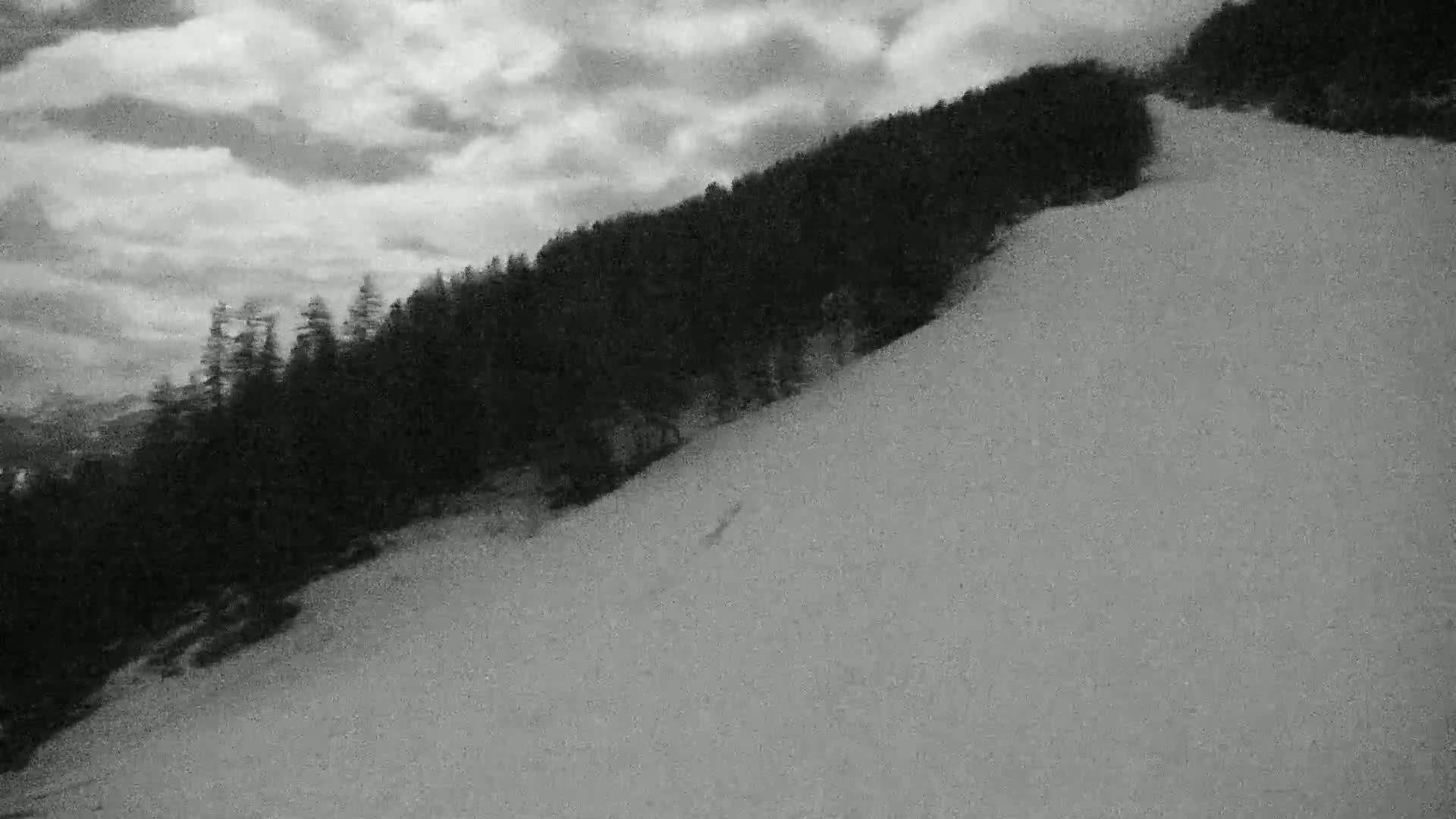 A snow-covered hillside slopes down from a dark evergreen forest under a cloudy sky.