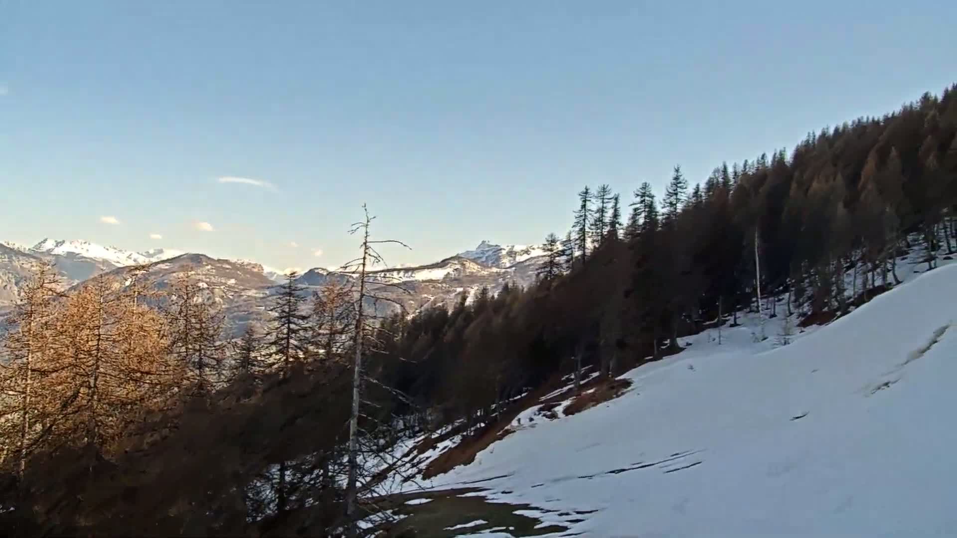 A snow-covered hillside slopes down from a dark coniferous forest toward a valley with snow-capped mountains in the distance under a clear blue sky.