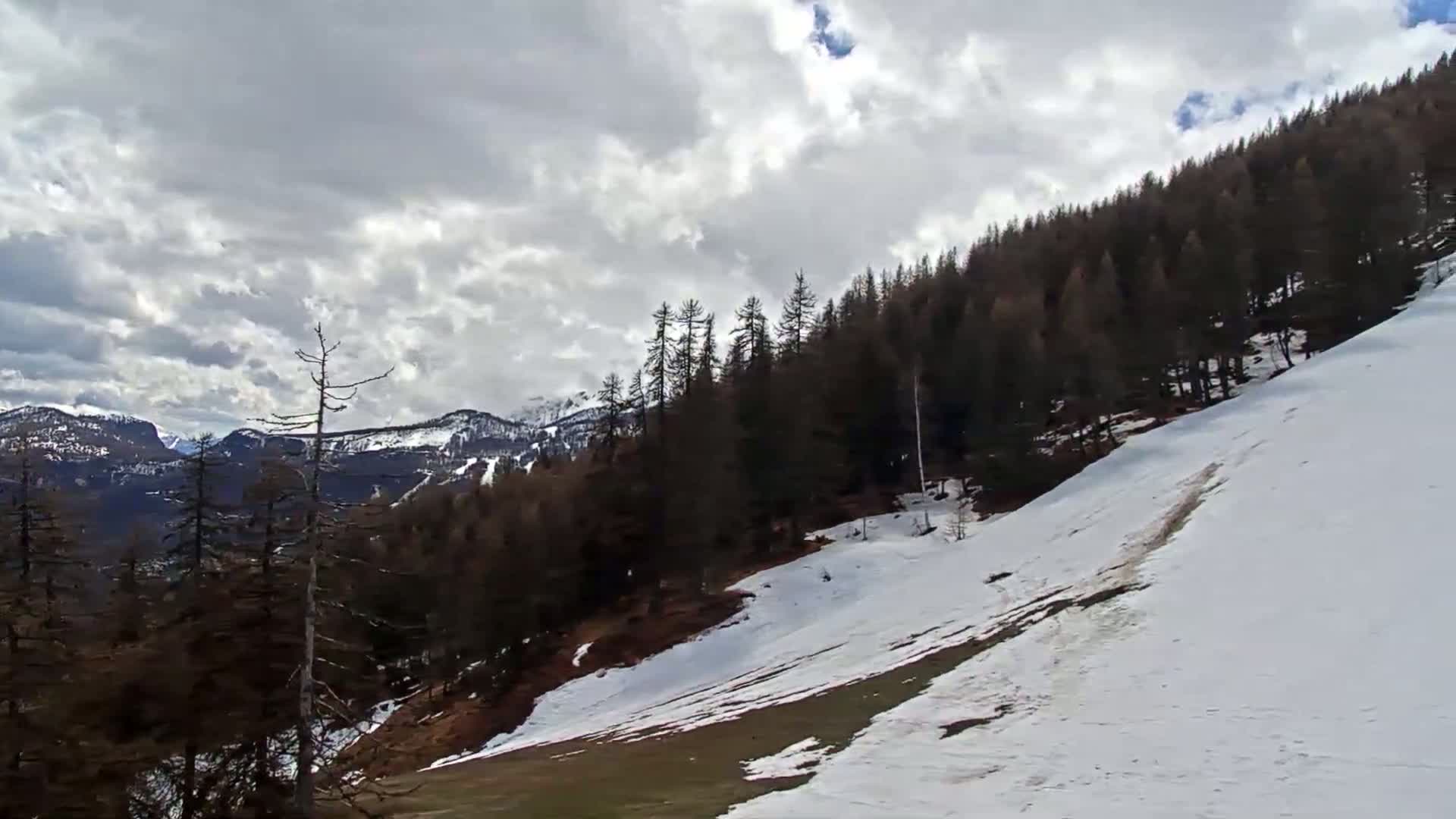 A snow-covered hillside slopes down from a dark evergreen forest under a partly cloudy sky, with distant mountains visible in the background.