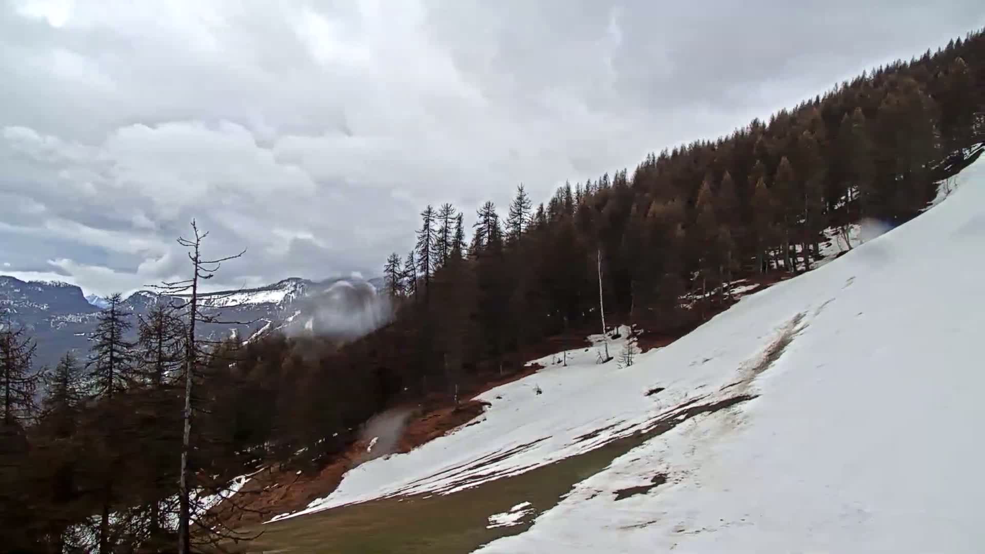 A snow-covered hillside with a dark coniferous forest and distant mountains under a cloudy sky.