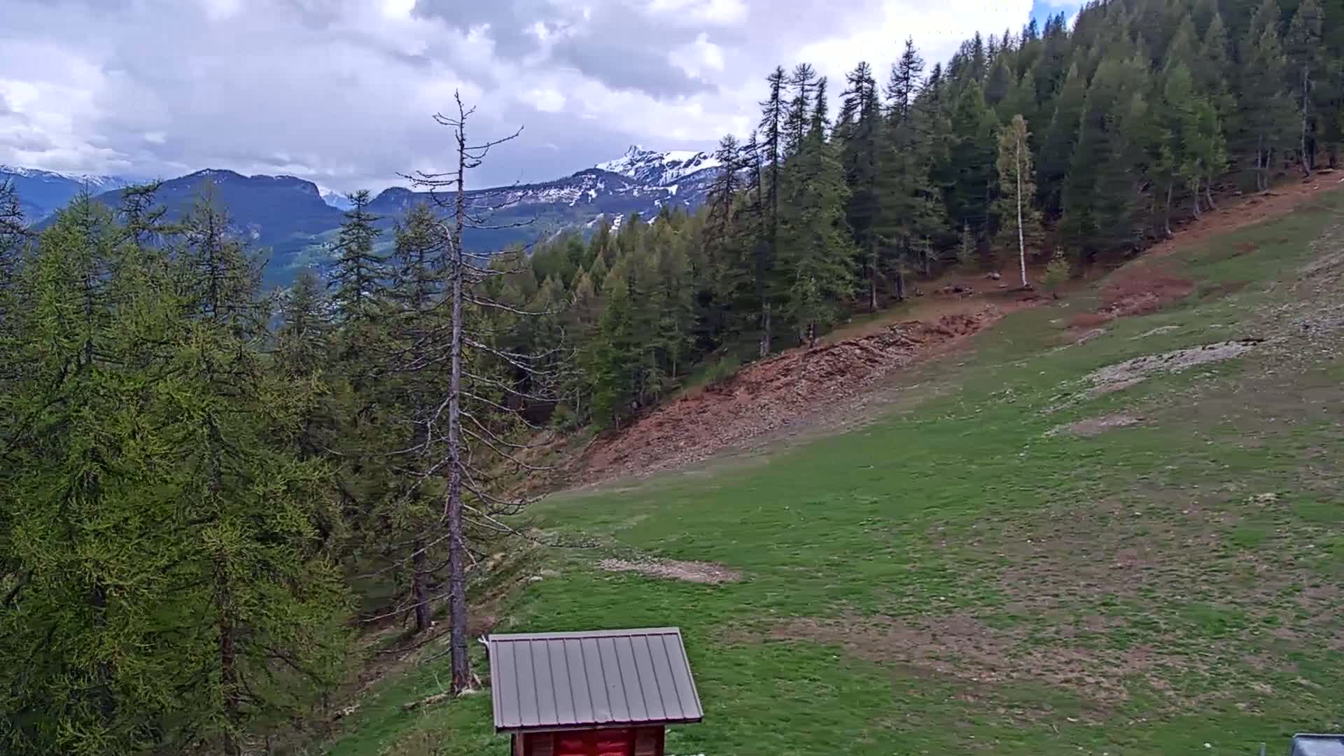 A small shed sits on a grassy hillside overlooking a coniferous forest and snow-capped mountains under a cloudy sky.