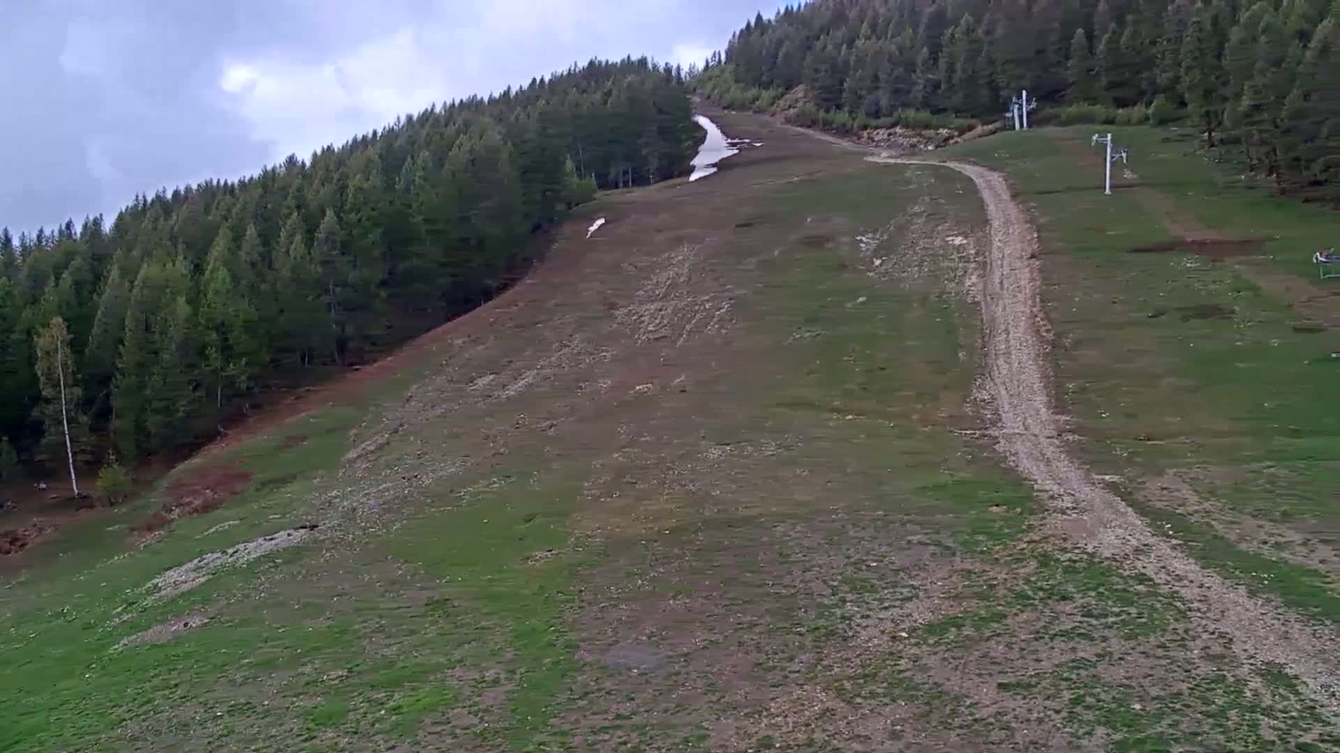 A grassy hillside with a dirt road and ski lifts winds upward through a coniferous forest under a cloudy sky.