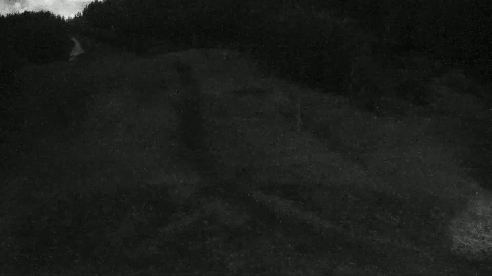 A dark, possibly nighttime, outdoor scene shows a dirt road curving through a grassy area bordered by dark trees under an overcast sky.