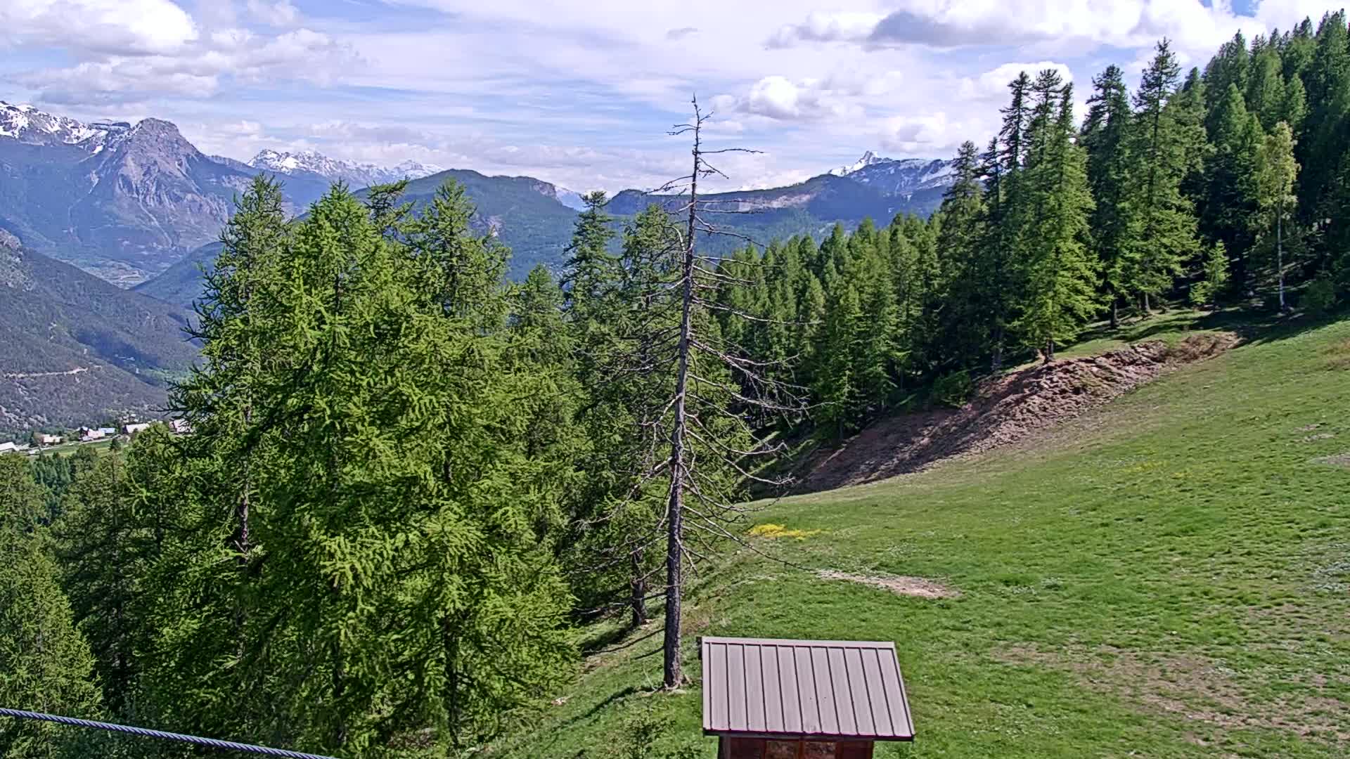 A grassy hillside dotted with evergreen trees slopes down toward a small shed, overlooking a valley and snow-capped mountains under a partly cloudy sky.