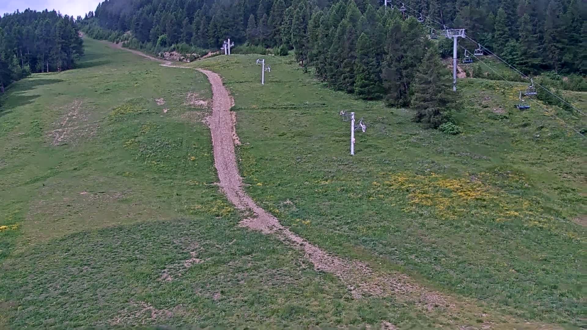 A grassy hillside with a dirt path and several ski lifts under partly cloudy skies.