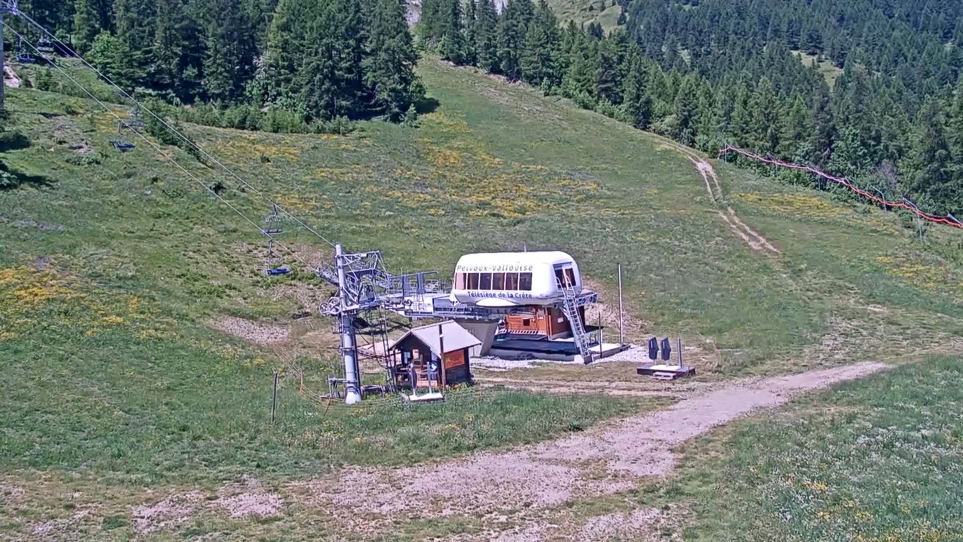 A chairlift station sits on a grassy hillside dotted with wildflowers, under sunny skies, against a backdrop of a coniferous forest.