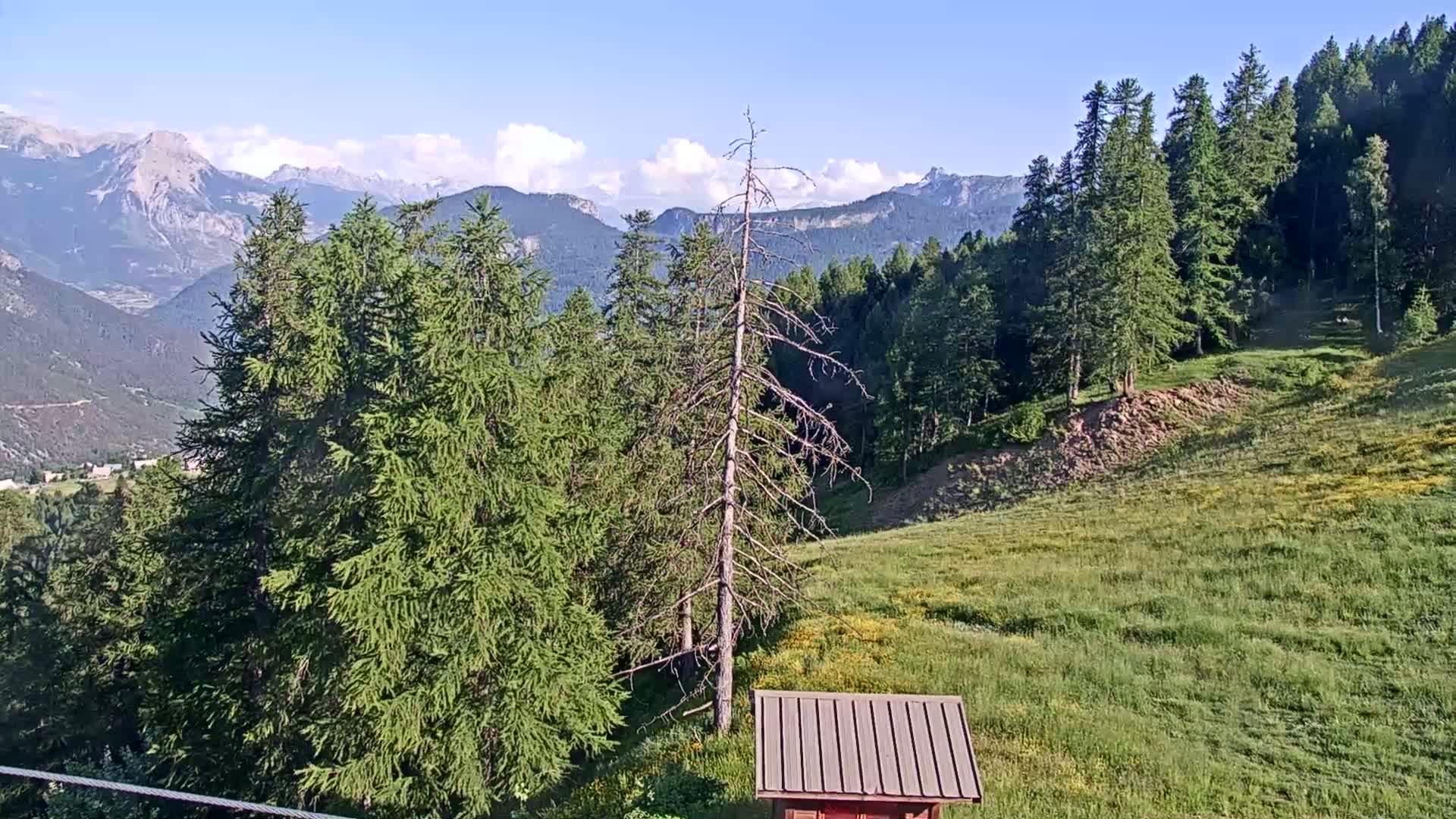 A grassy hillside dotted with evergreens and a small shed overlooks a mountainous valley under a mostly clear sky.