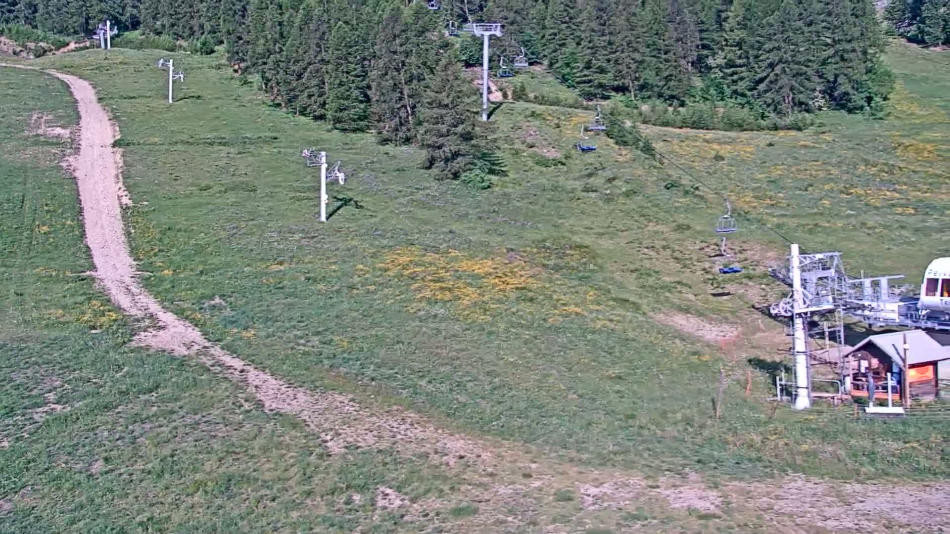 A grassy hillside dotted with several chairlifts and a dirt path winds through it, under sunny skies.