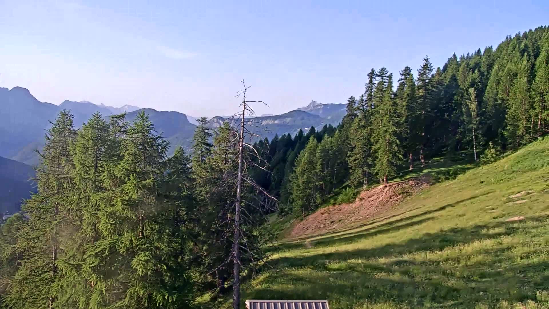 A grassy hillside dotted with evergreens slopes down toward a view of distant mountains under a clear, bright sky.