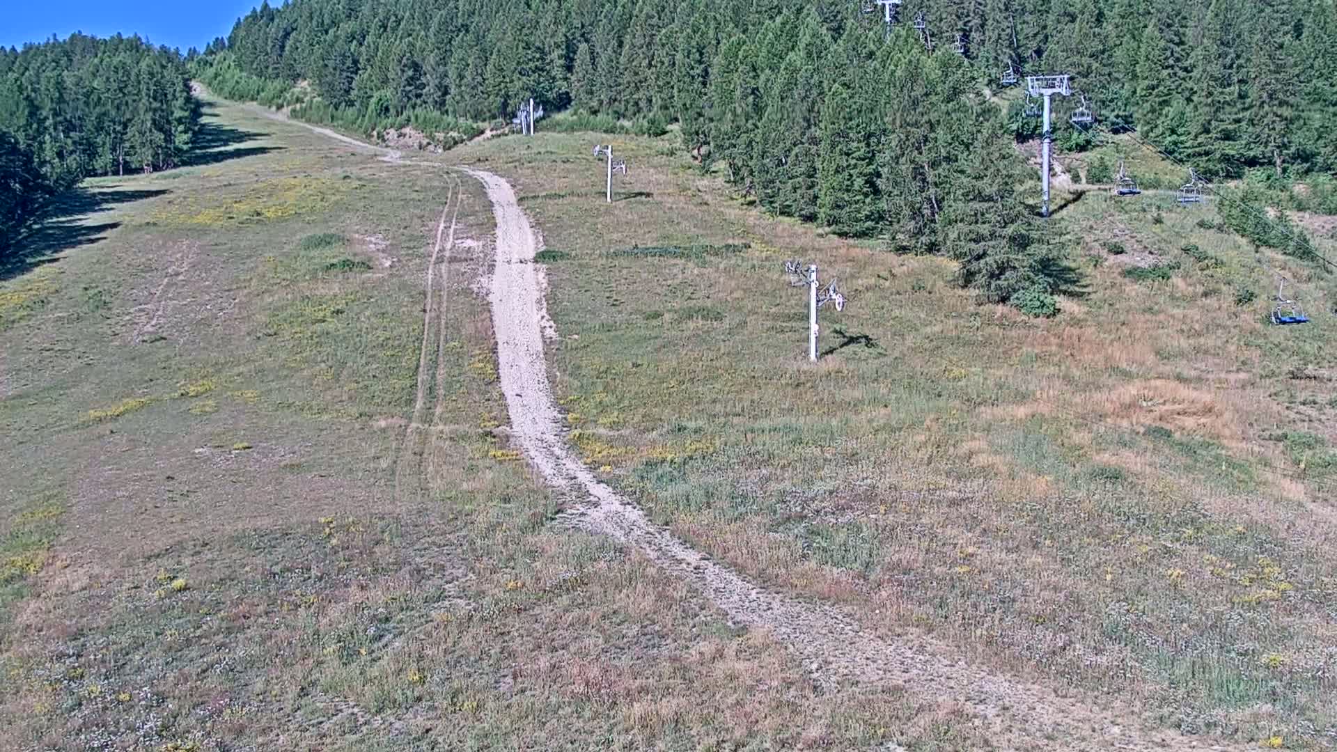 A grassy hill with a dirt road winding through it, several ski lifts are visible, and the sky is clear and sunny.