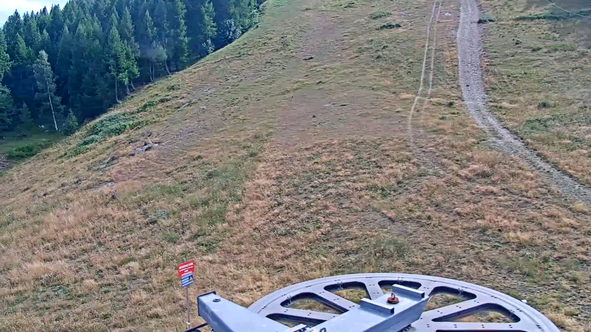 A low-light aerial view shows tire tracks crossing a grassy field toward a dark forest.