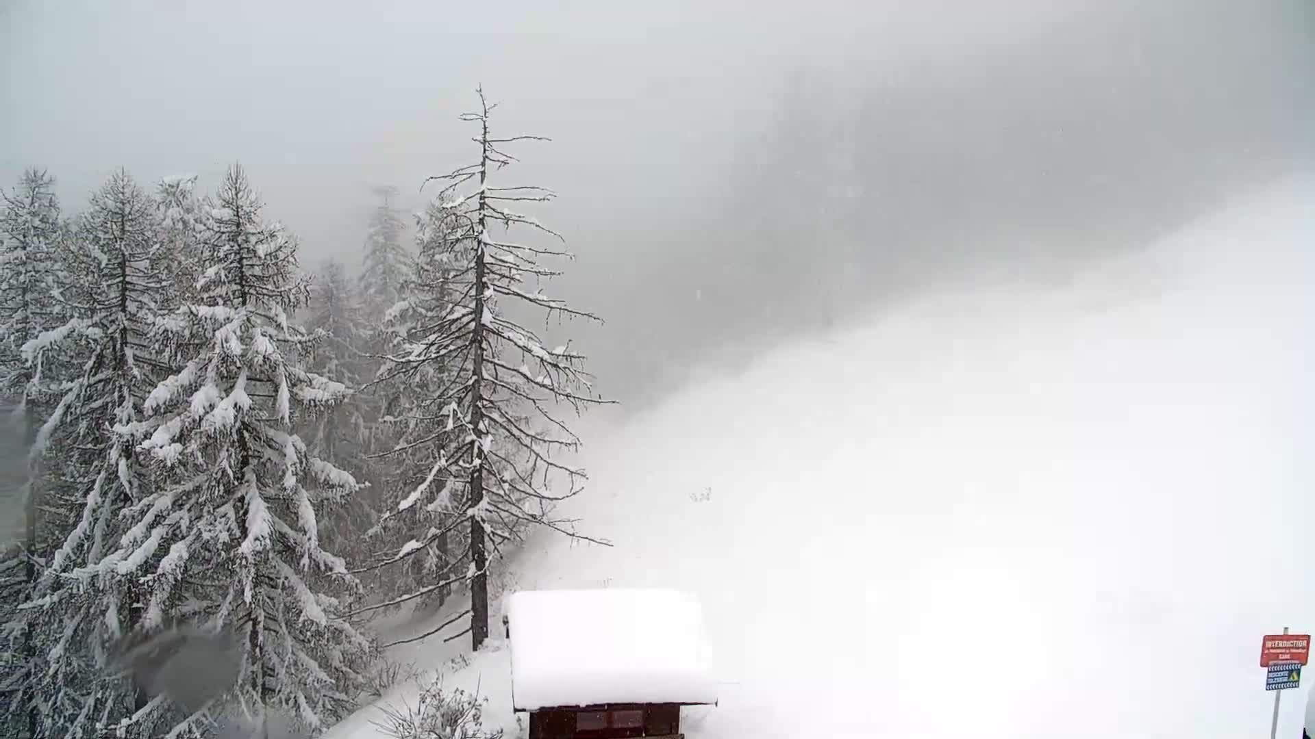 Pelvoux Vallouise Ski Slopes 1800 m Live Cam - Briancon, Hautes-Alpes, Provence-Alpes-Cote d’Azur, France