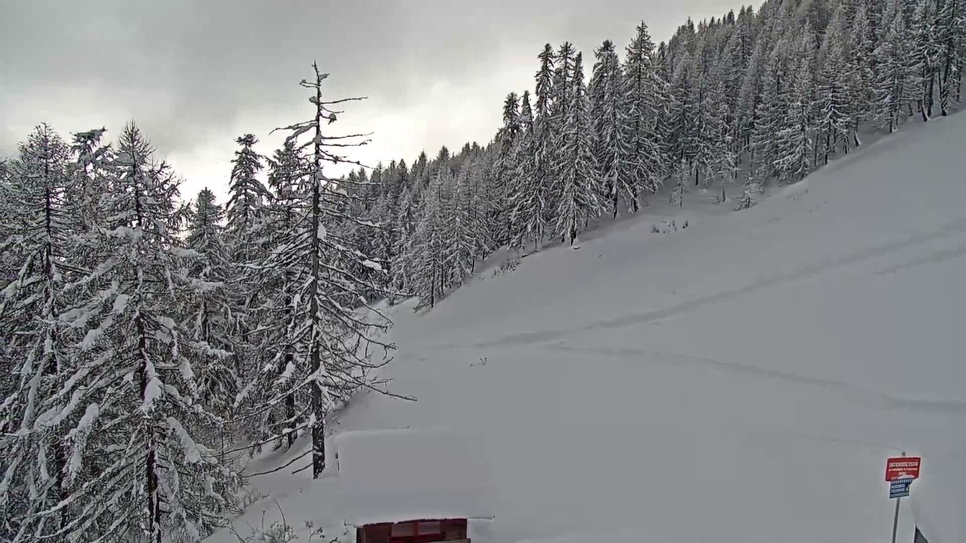 A snow-covered forest of coniferous trees ascends a mountain alongside a deep snowy slope with faint ski tracks, all under a grey, overcast sky, with a small, partially snow-buried red-roofed hut visible at the bottom.