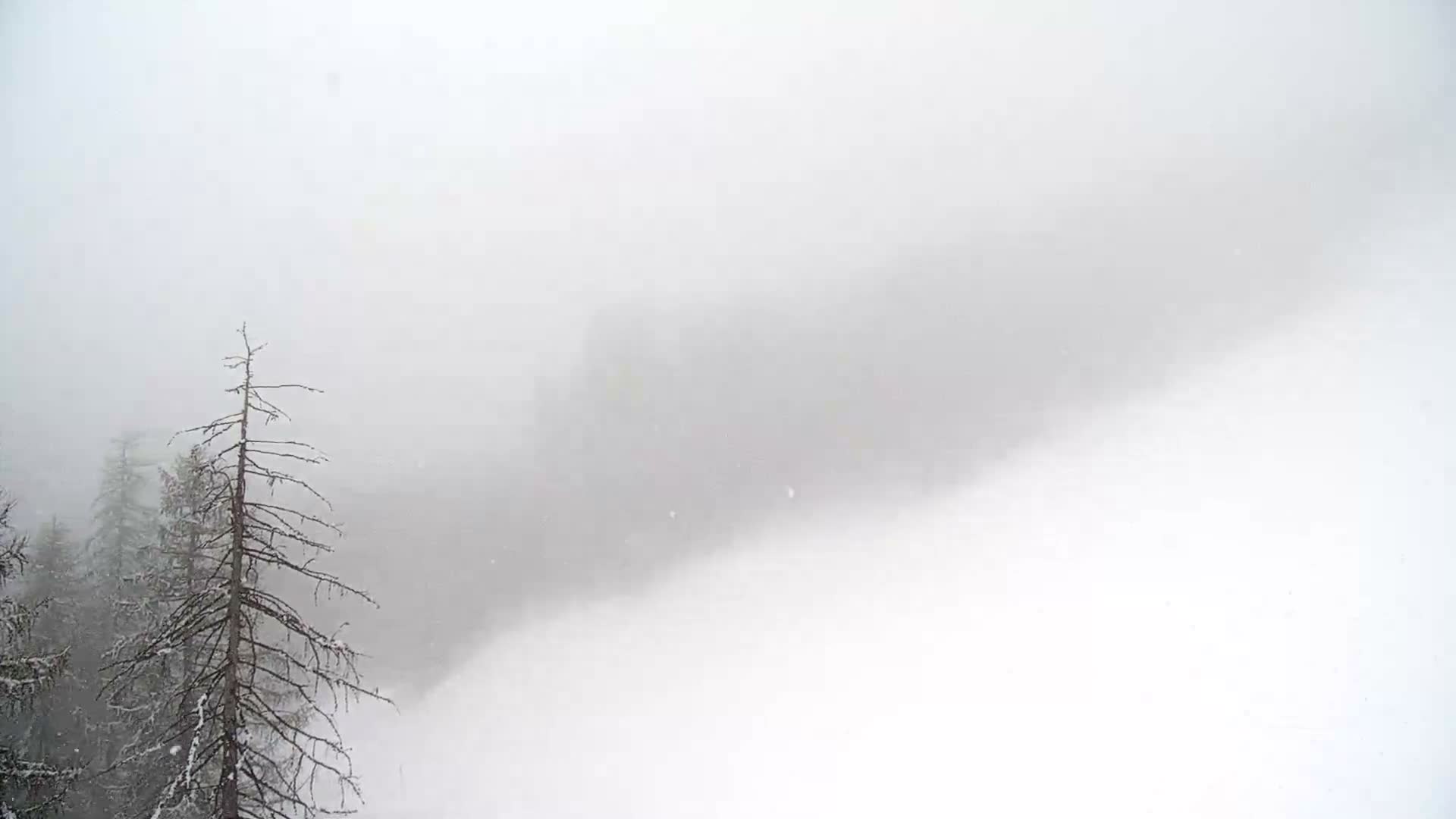 Pelvoux Vallouise Ski Slopes 1800 m Live Cam - Briancon, Hautes-Alpes, Provence-Alpes-Cote d’Azur, France
