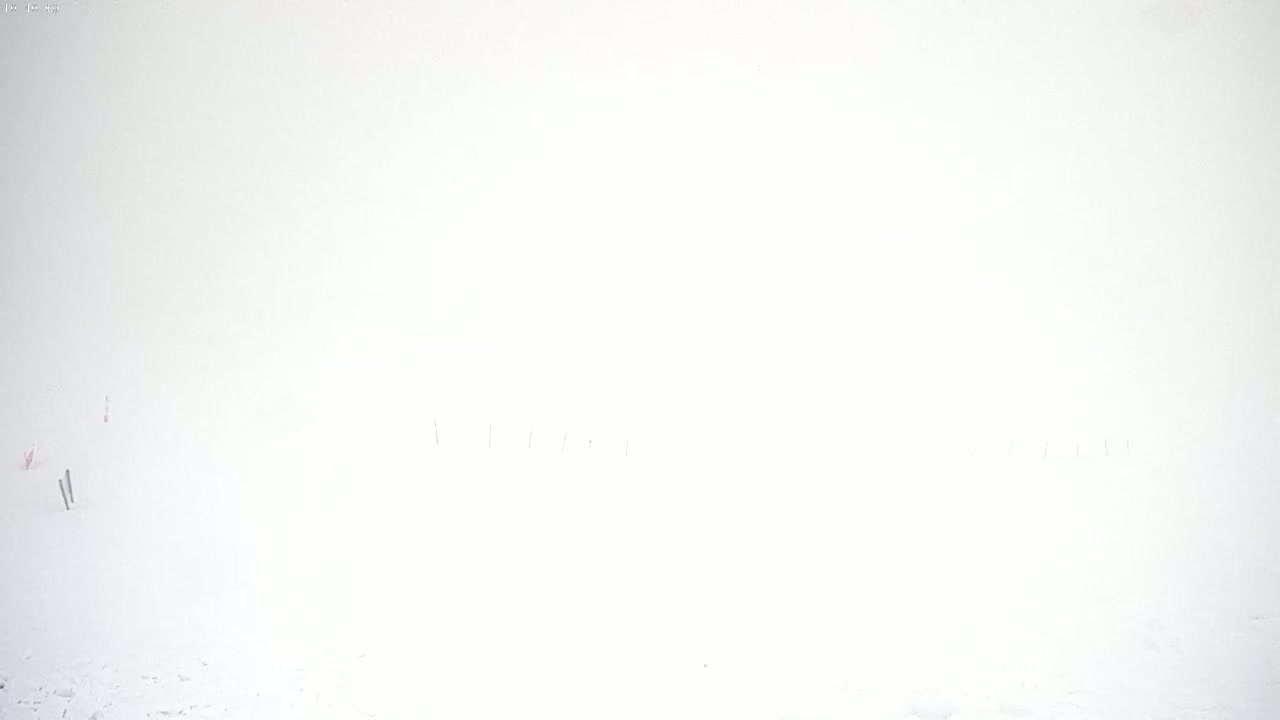 A snow-covered landscape is obscured by heavy fog or blowing snow.