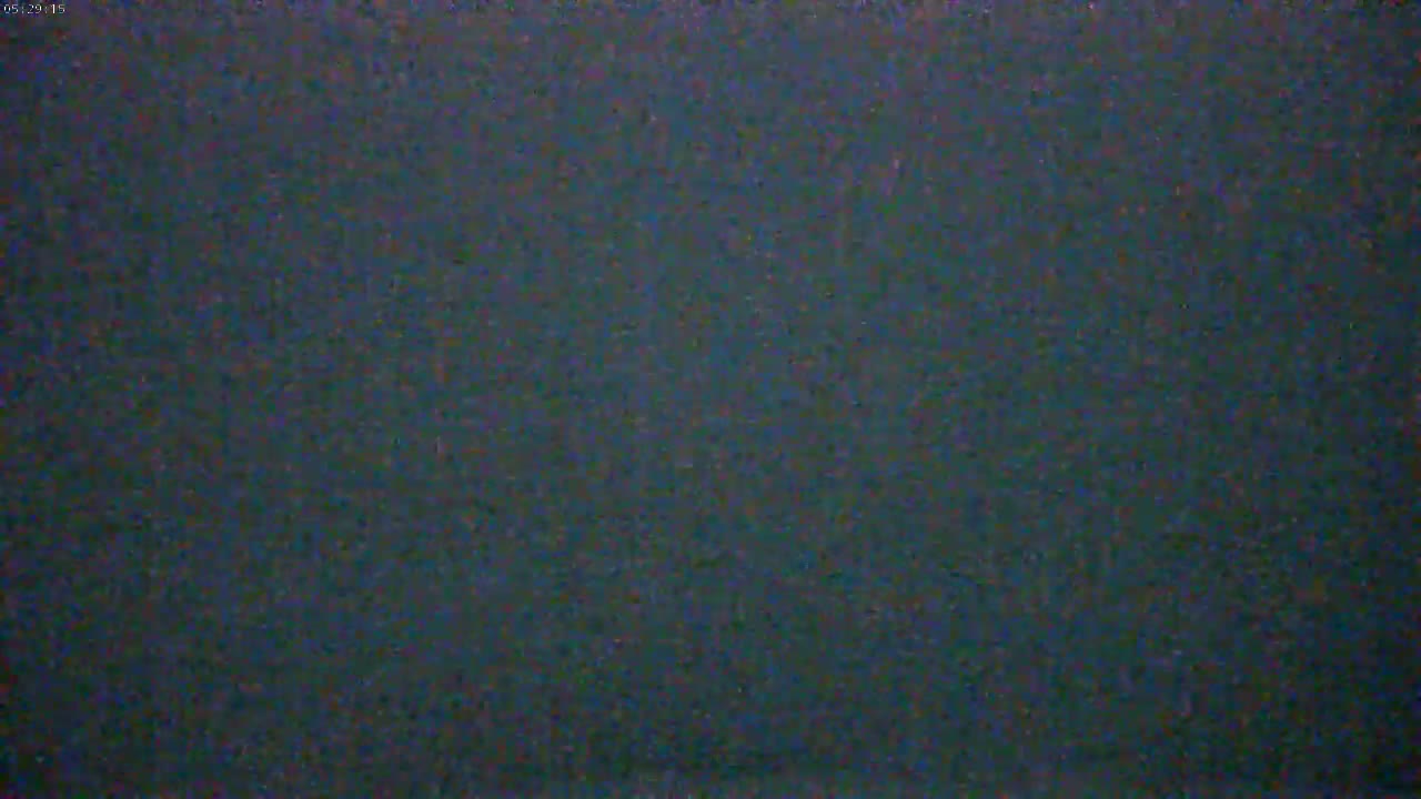 The image shows a dark, textured surface.
