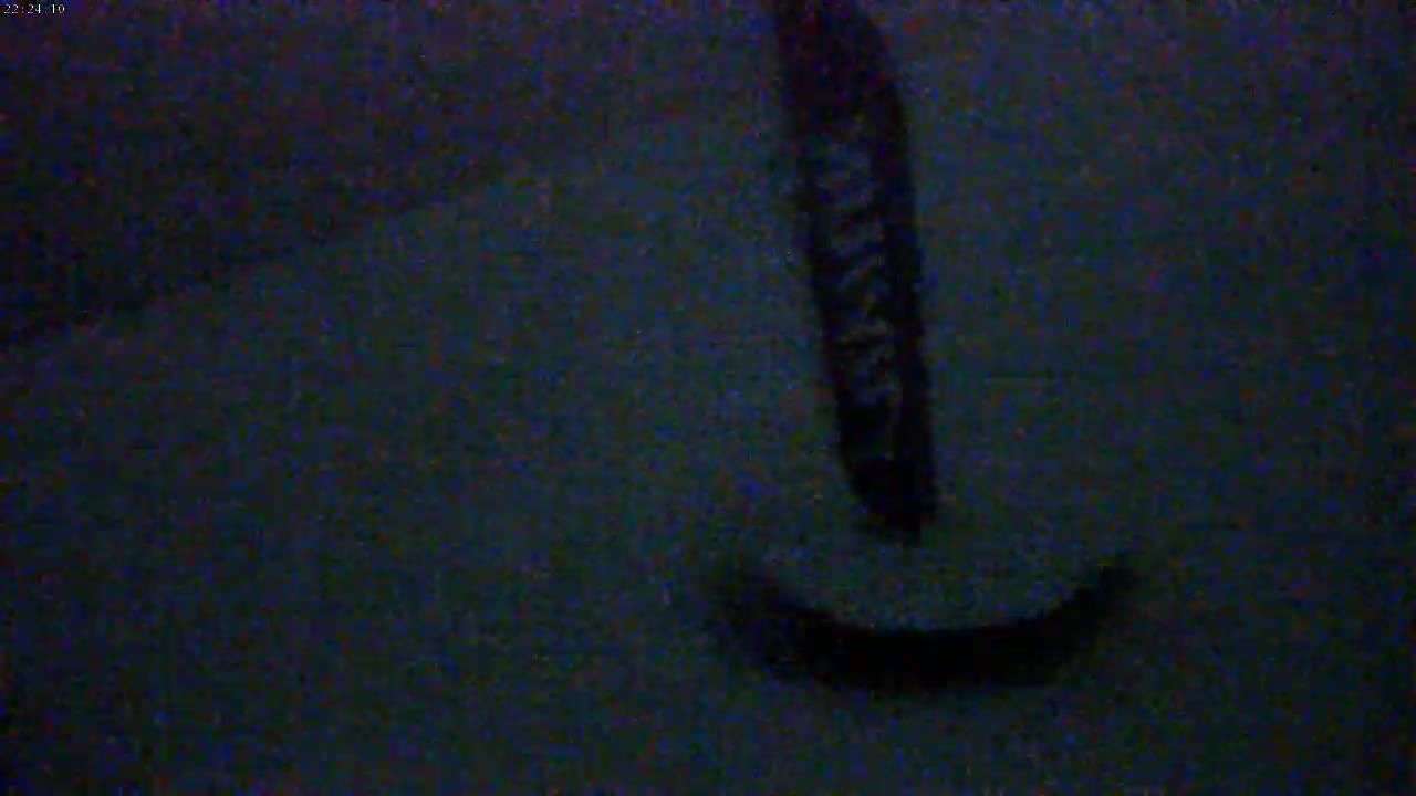 A dark, blurry image shows a vertical, dark object that resembles a long, thin rectangle with rounded edges at the bottom, on a dark textured surface.