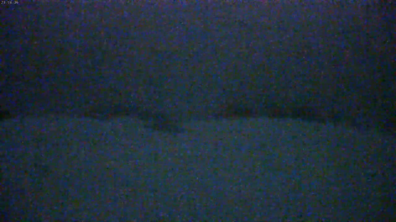 A dark, blurry image shows a mostly featureless expanse of ground under a night sky.