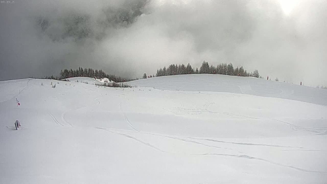 A snow-covered hill with a line of trees at its crest is visible under a cloudy, overcast sky.
