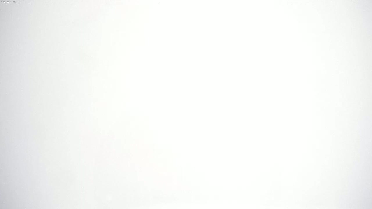 The image is a solid, bright white background.