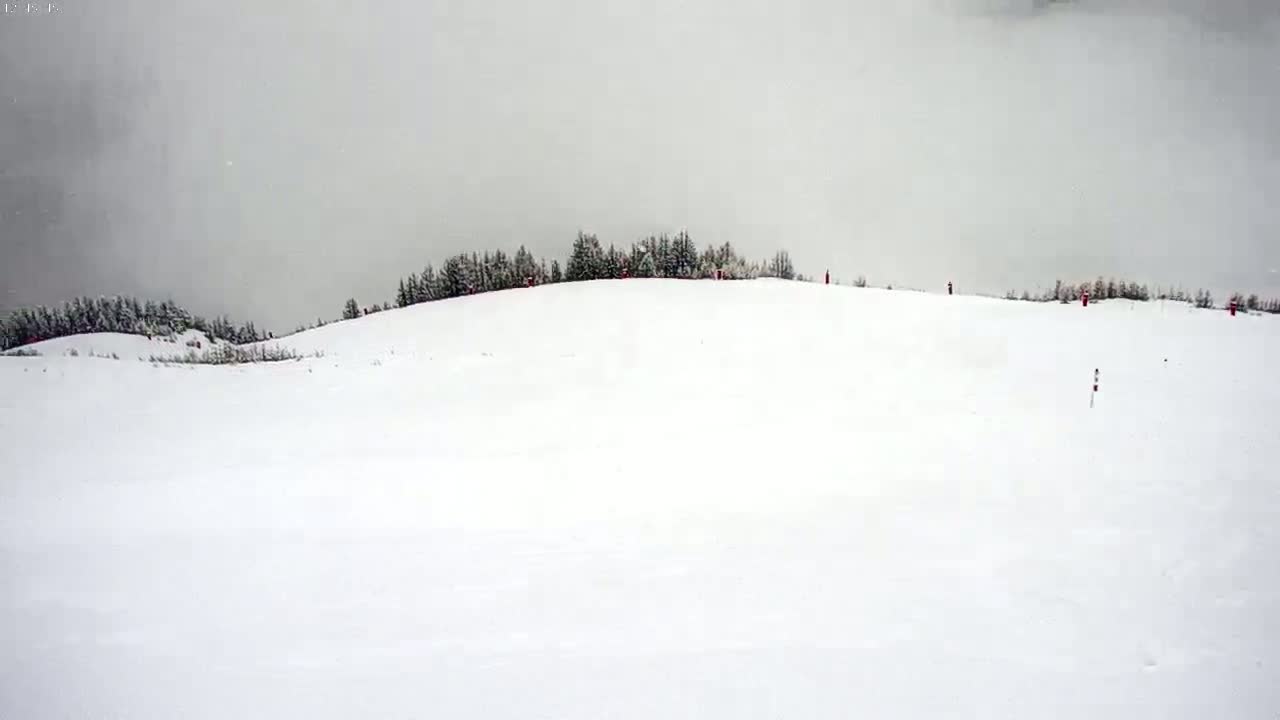 A snow-covered hill with a line of dark evergreen trees at its crest under an overcast sky.