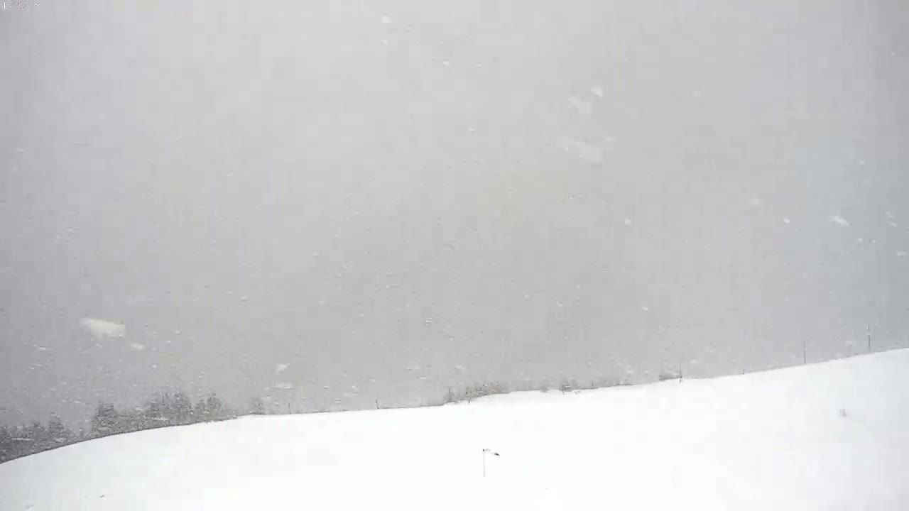 A snow-covered landscape is seen under heavy snowfall.