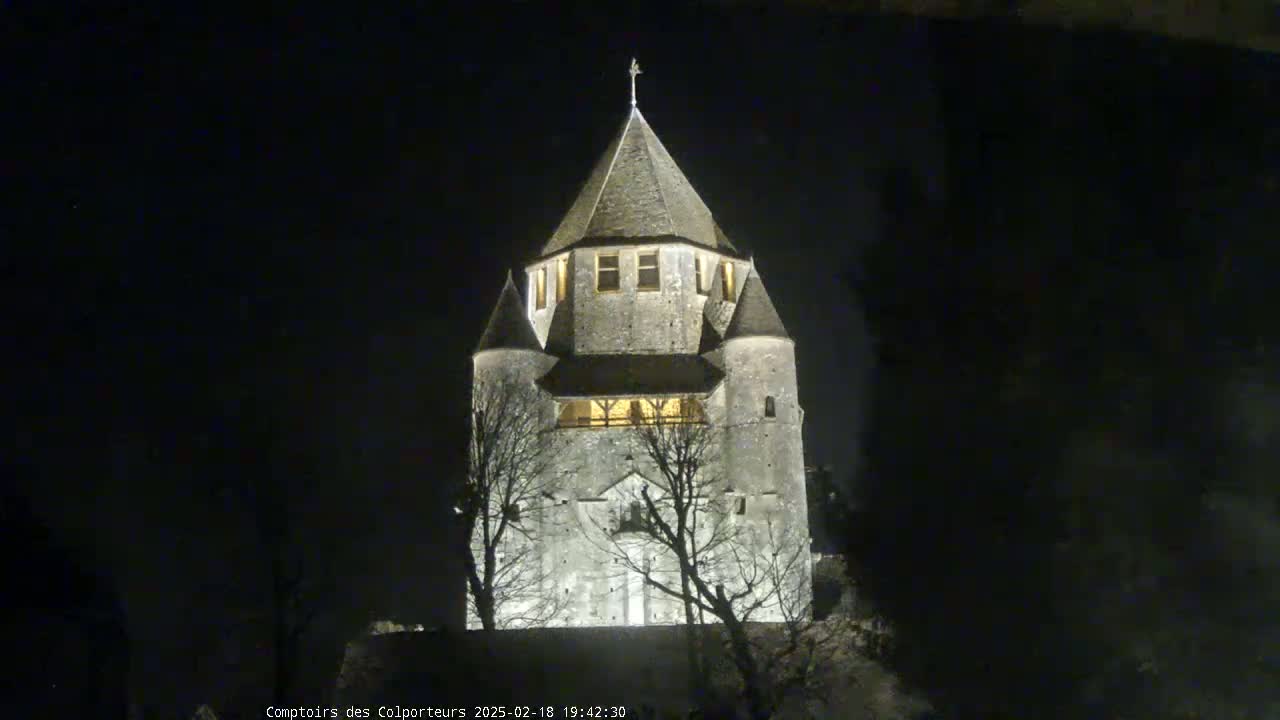 A stone tower, illuminated at night, stands among bare, dark trees under a clear, dark sky.