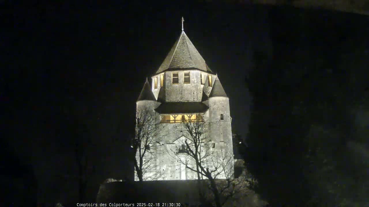 A stone tower, illuminated at night, stands among bare trees under a dark sky.