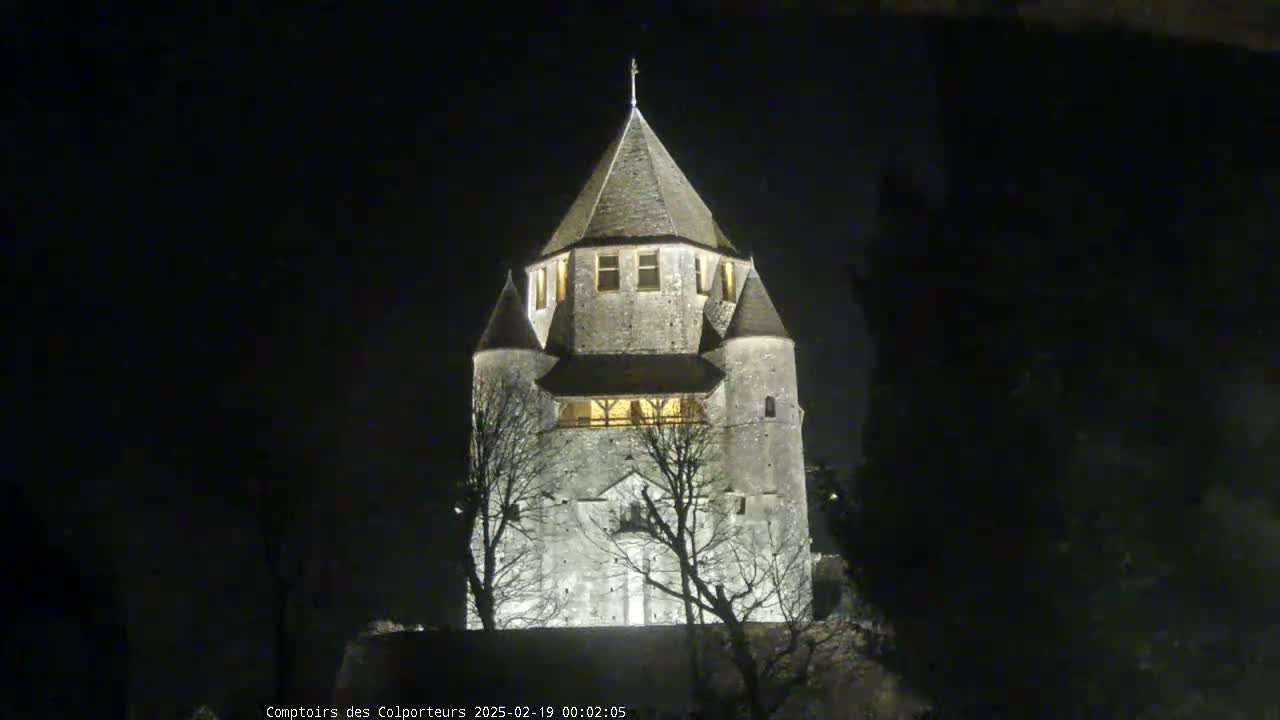 A stone tower, illuminated at night, stands behind silhouetted trees under a dark sky.